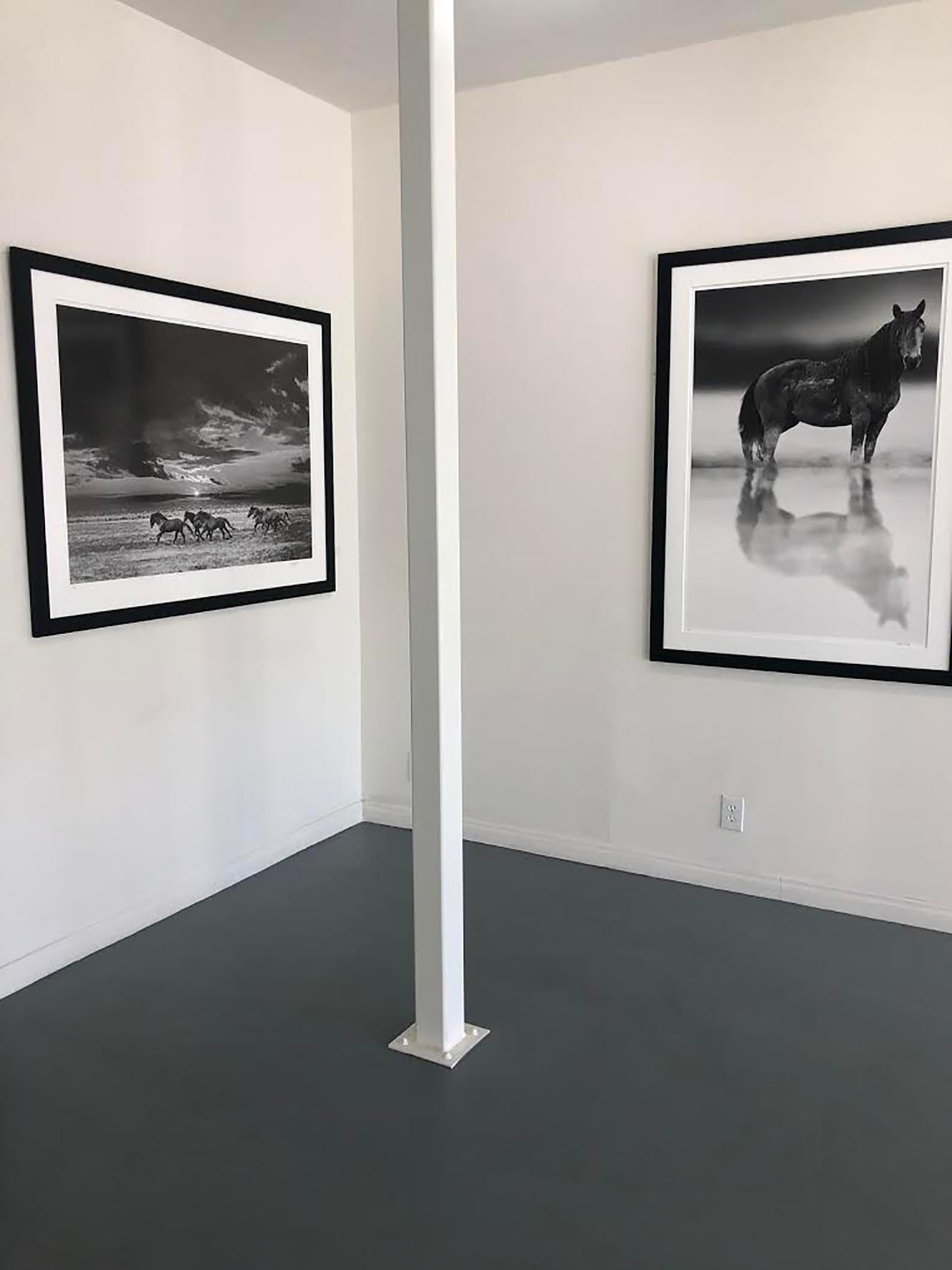 40x50 « Chasing the Light »  Photographie « Wild Horses Mustangs » non signée - Gris Black and White Photograph par Shane Russeck
