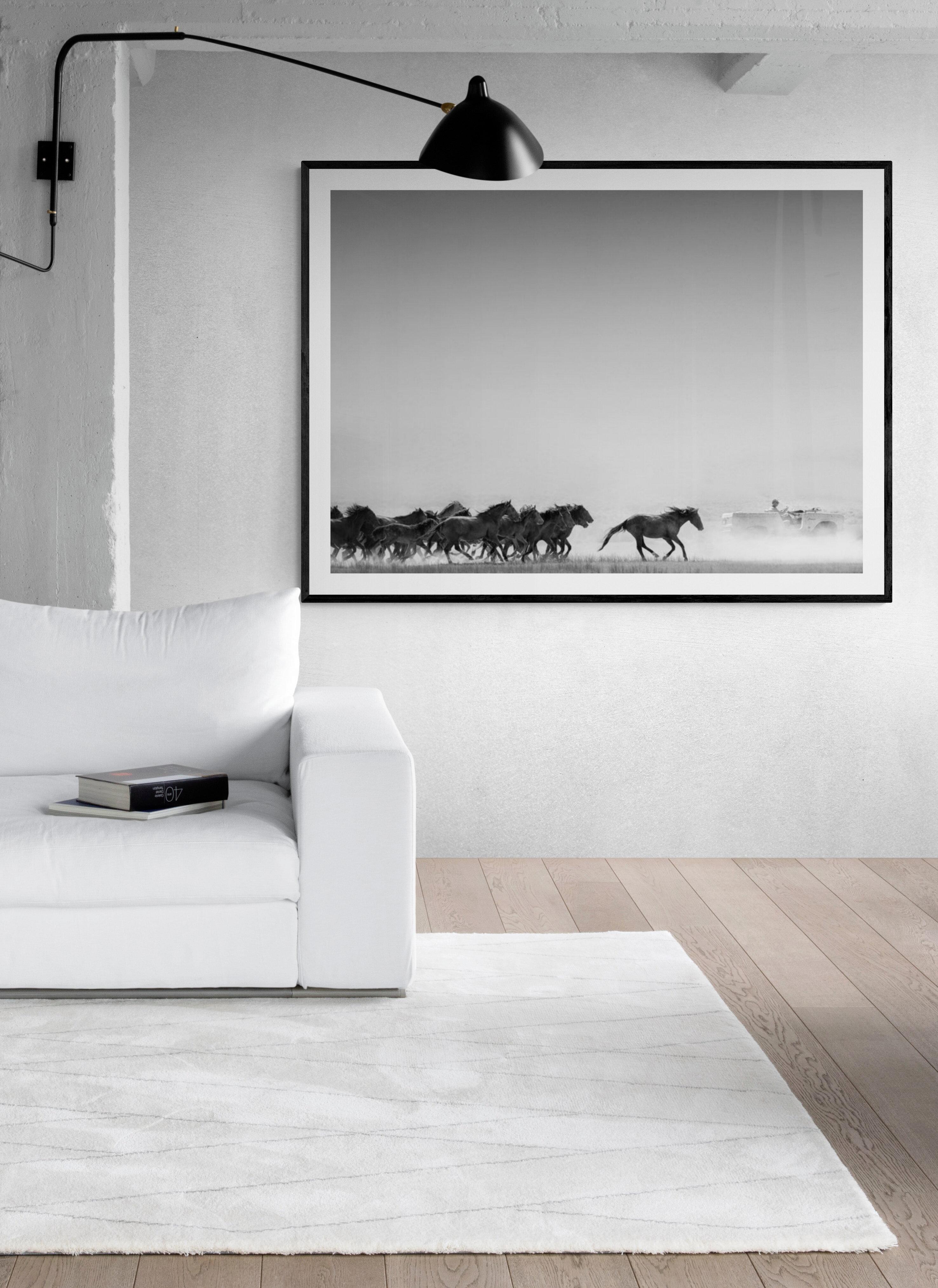 40x60 AMERICAN HORSE POWER B&W Photography Wild Horses Mustangs FORD BRONCO  - Print by Shane Russeck