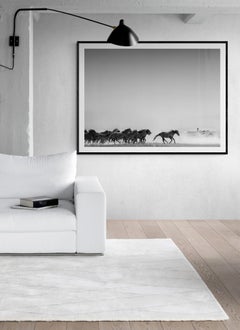 40x60 AMERICAN HORSE POWER B&W Photography Wild Horses Mustangs FORD BRONCO