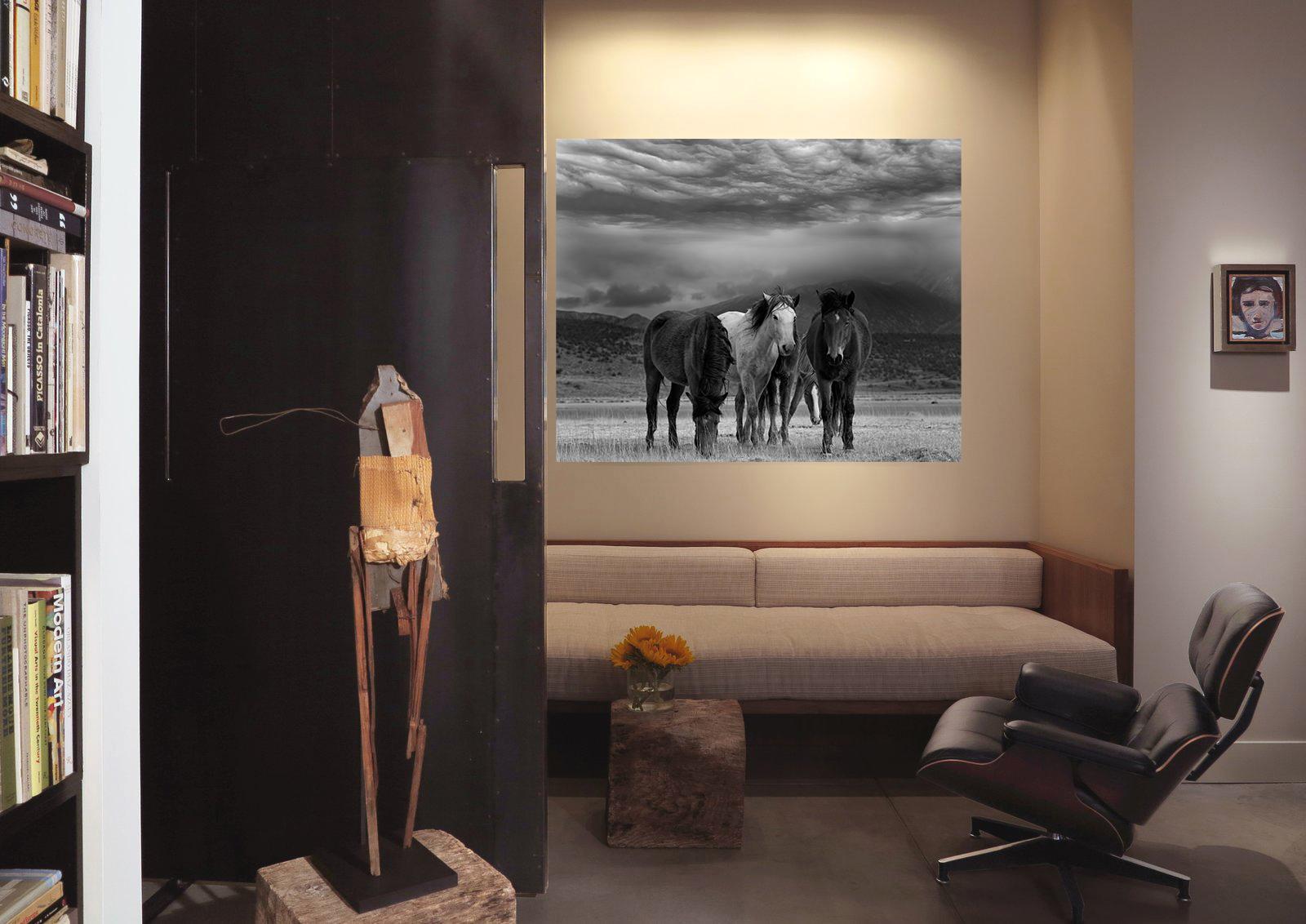 45x60 Dust and Horses  Black and White Photography Wild Horses Mustangs Unsigned For Sale 4
