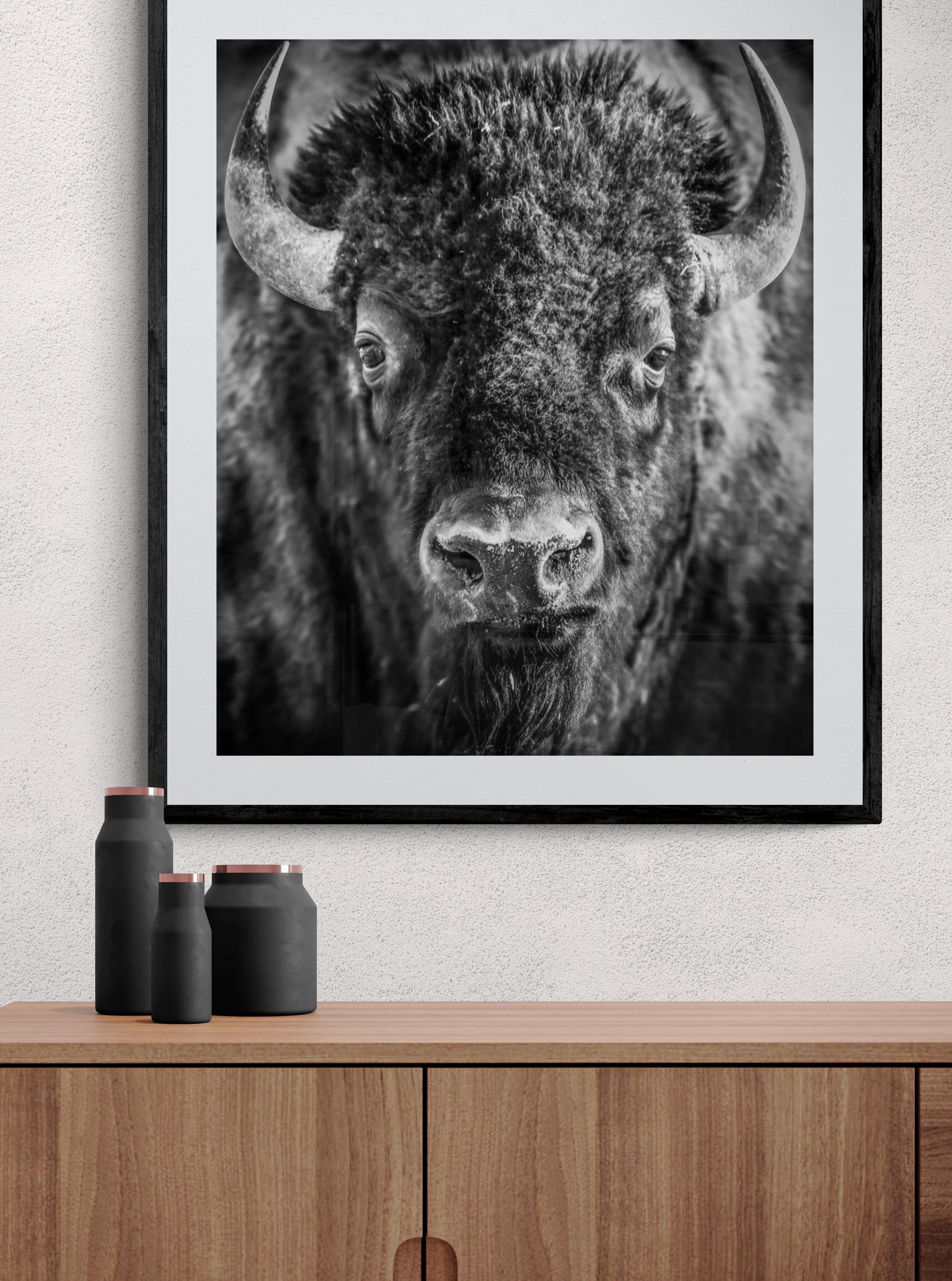 This is a contemporary photograph of an American Bison. 
Printed on archival luster paper using archival inks. 
Framing available. Inquire for rates. 
36x48
Signed and numbered
Edition of 12



Shane Russeck has built a reputation for capturing