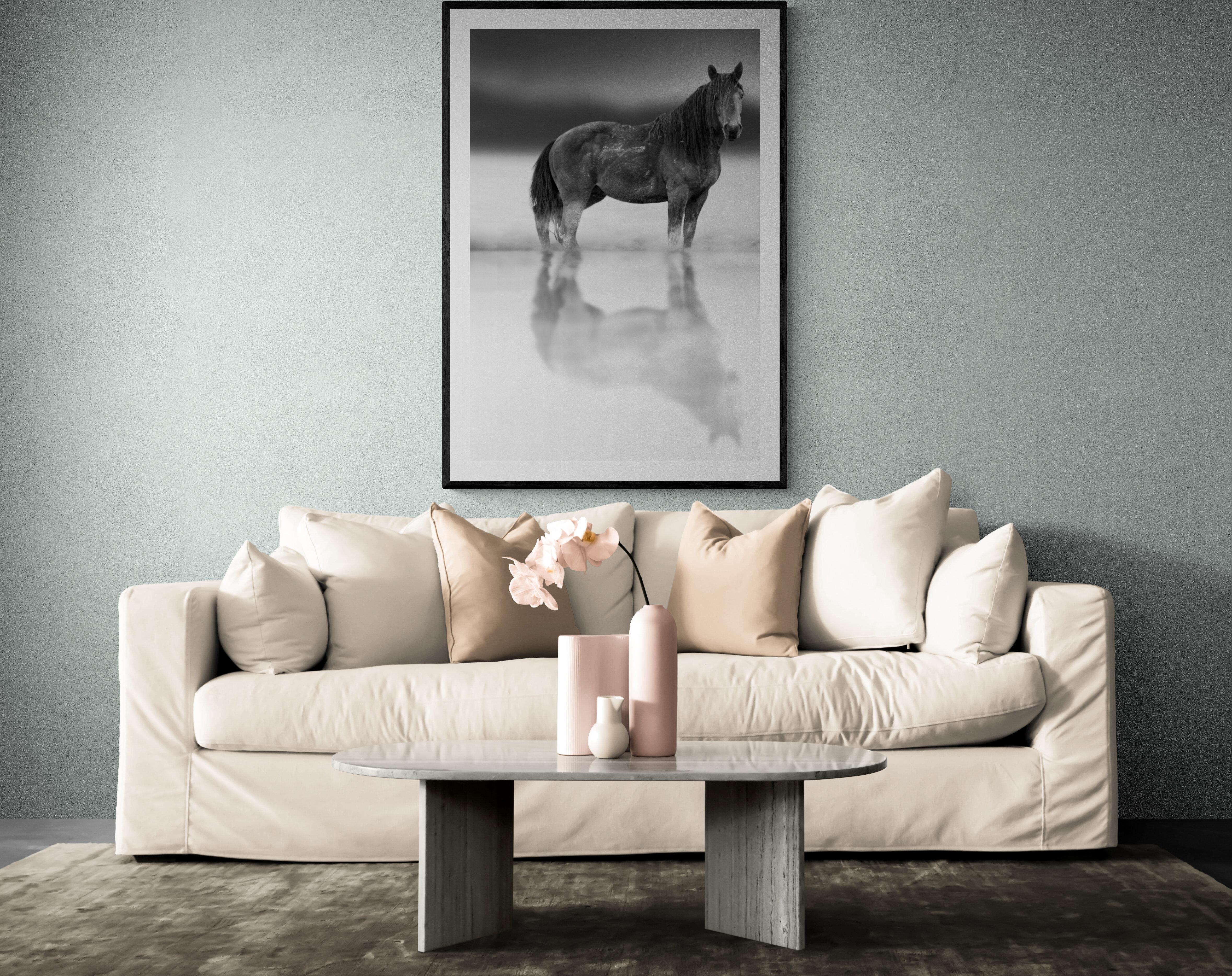 48x36 Black and White Photography Wild Horses Mustang Unsigned Horse Mustangs - Print by Shane Russeck