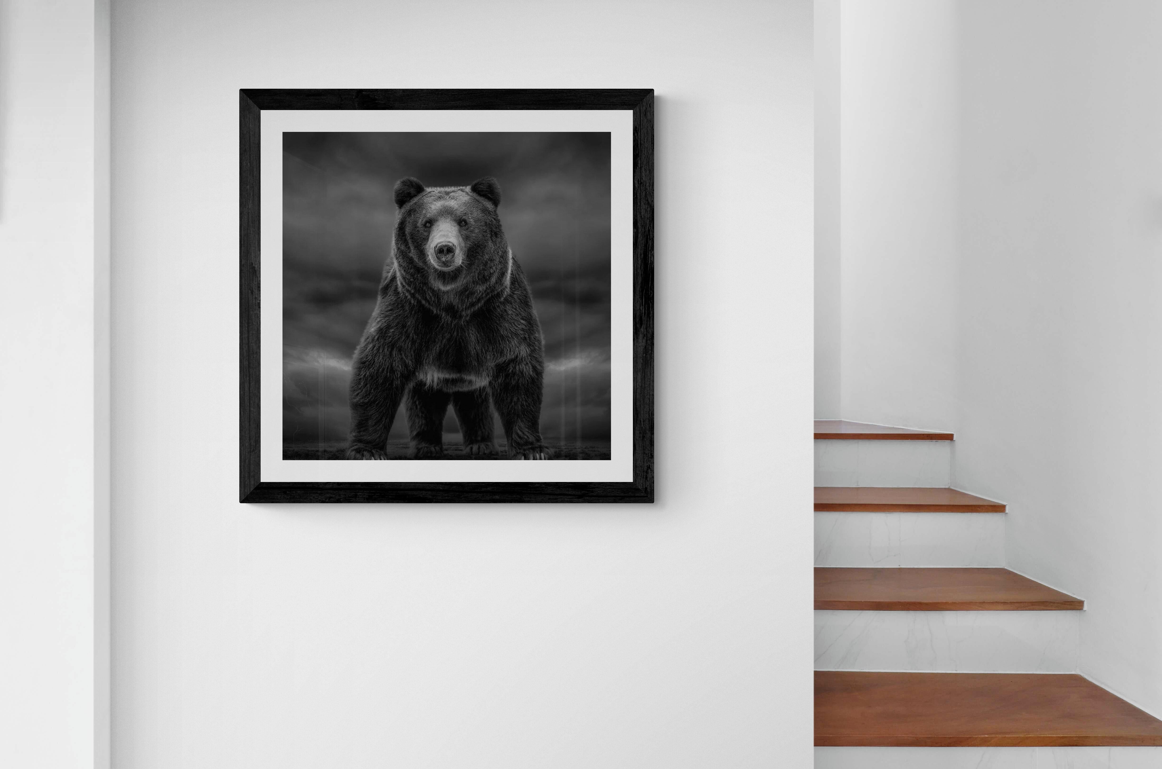 48x36 „Zeitungen wie diese“  Schwarz-Weiß-Fotografie, Braun-Bär-Fotografie im Angebot 3