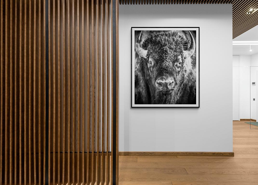 60x40 „Bison-Porträt“  Schwarz-Weiß-Fotografie Bison Buffalo Fine Art Print im Angebot 2