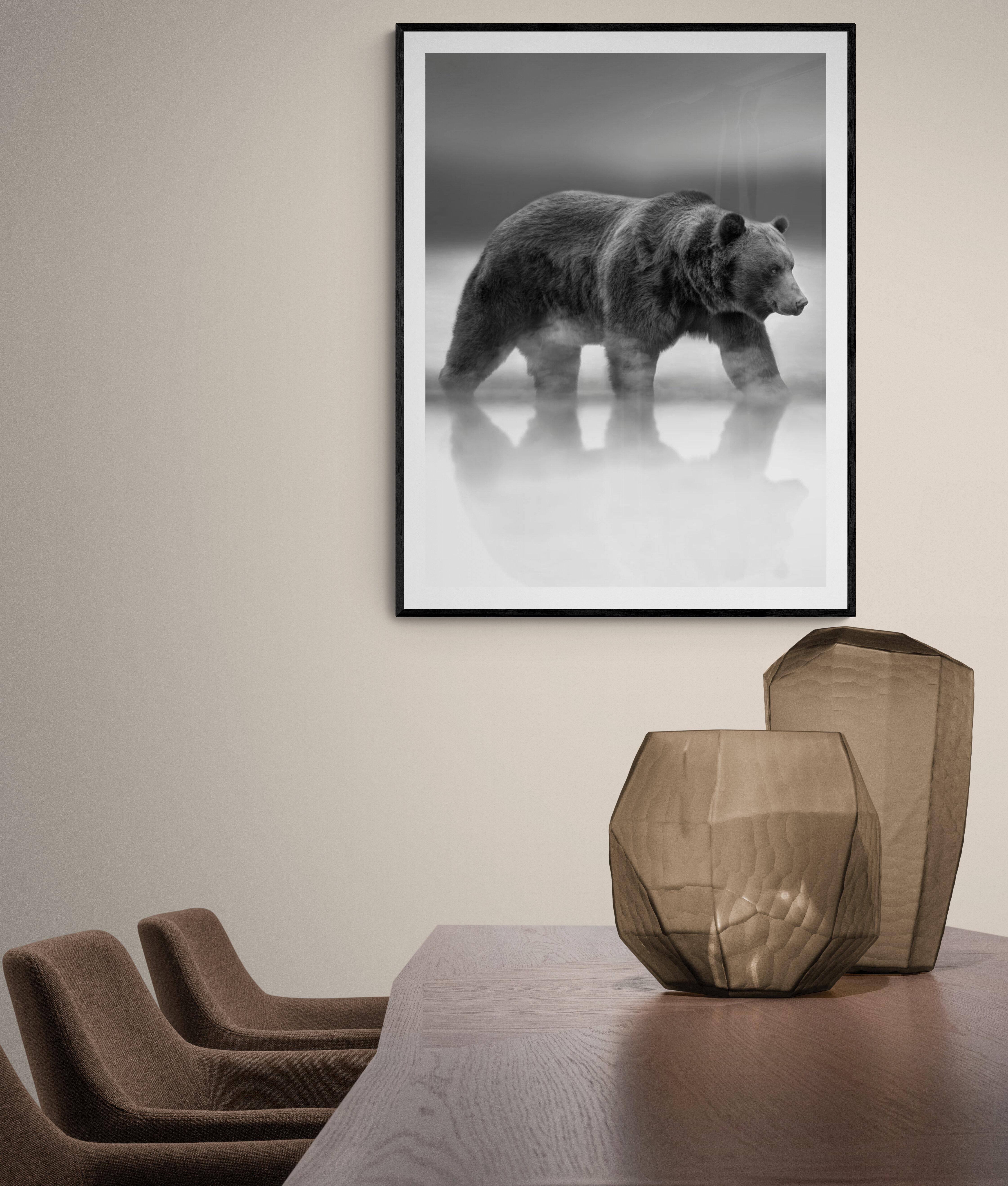 60x40 Black & White Photography, Bear Photograph, Kodiak Grizzly Bear Wildlife  - Print by Shane Russeck