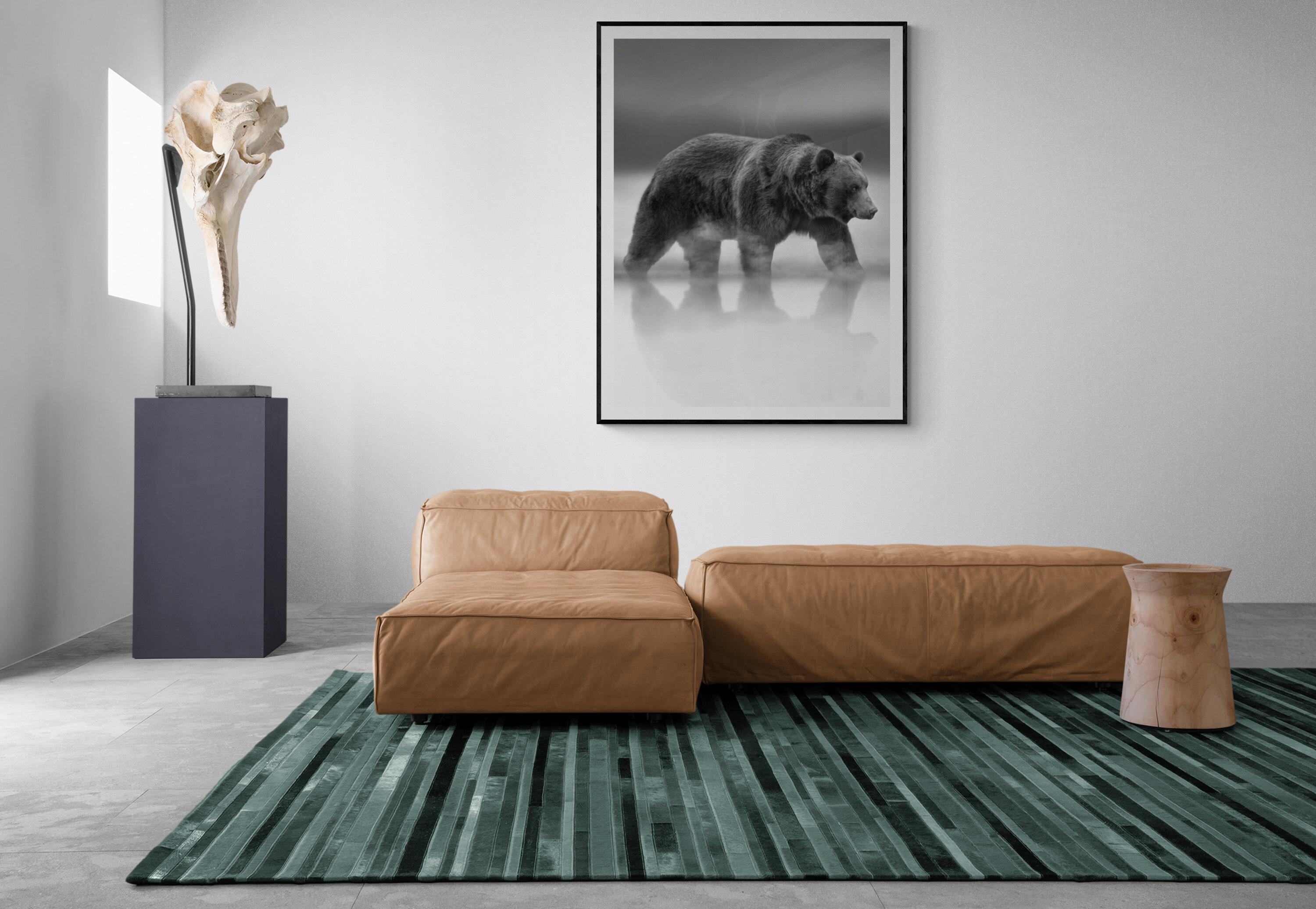 60x45 Black & White Photography, Bear Photograph, Kodiak Grizzly Bear Wildlife 2