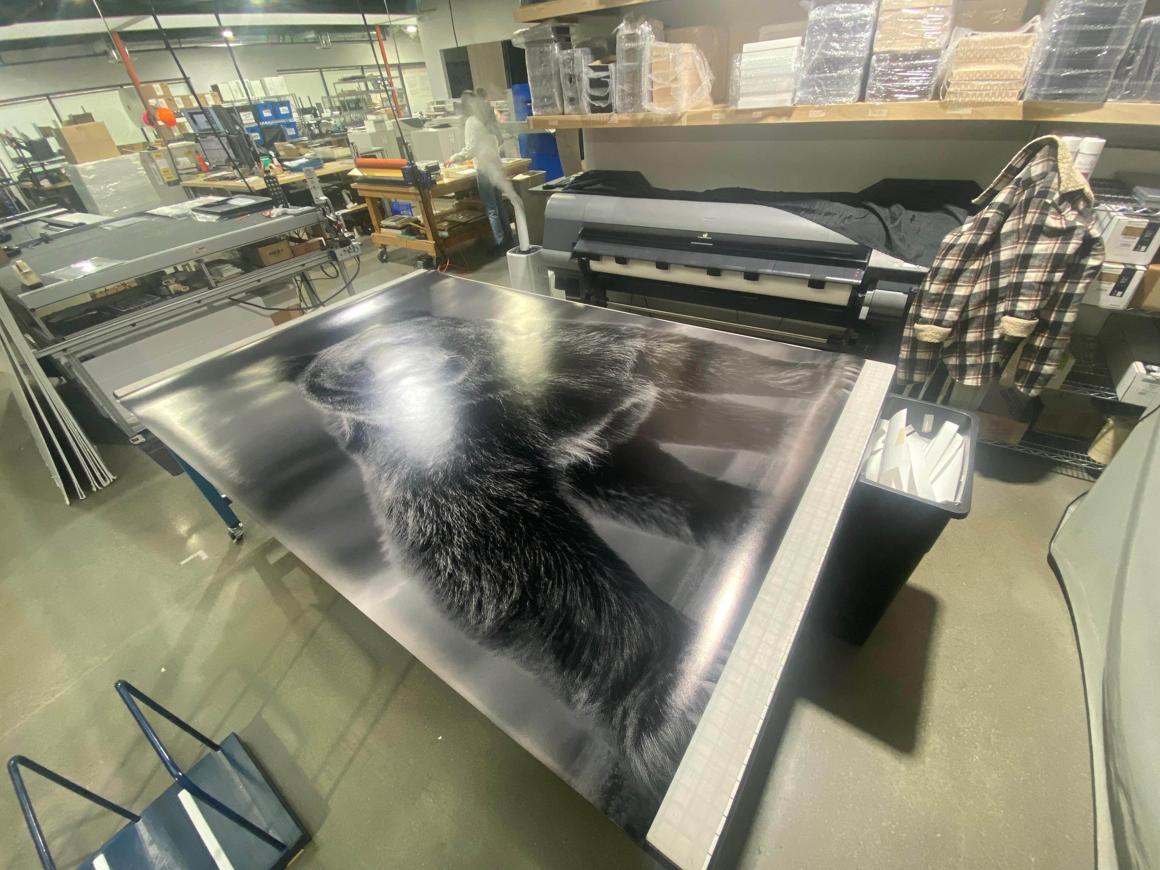 90x60 Fotografia in bianco e nero, Kodiak, Orso Grizzly Tempi come questi 5