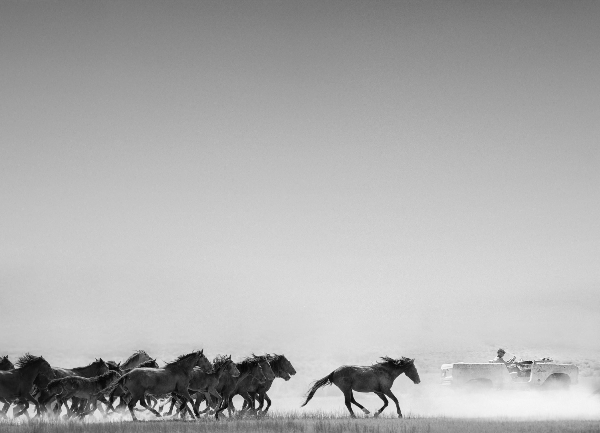 Black and White Photograph Shane Russeck - Photographie AMERICAN HORSE POWER 28x40 Chevaux sauvages moutons FORD BRONCO ICON