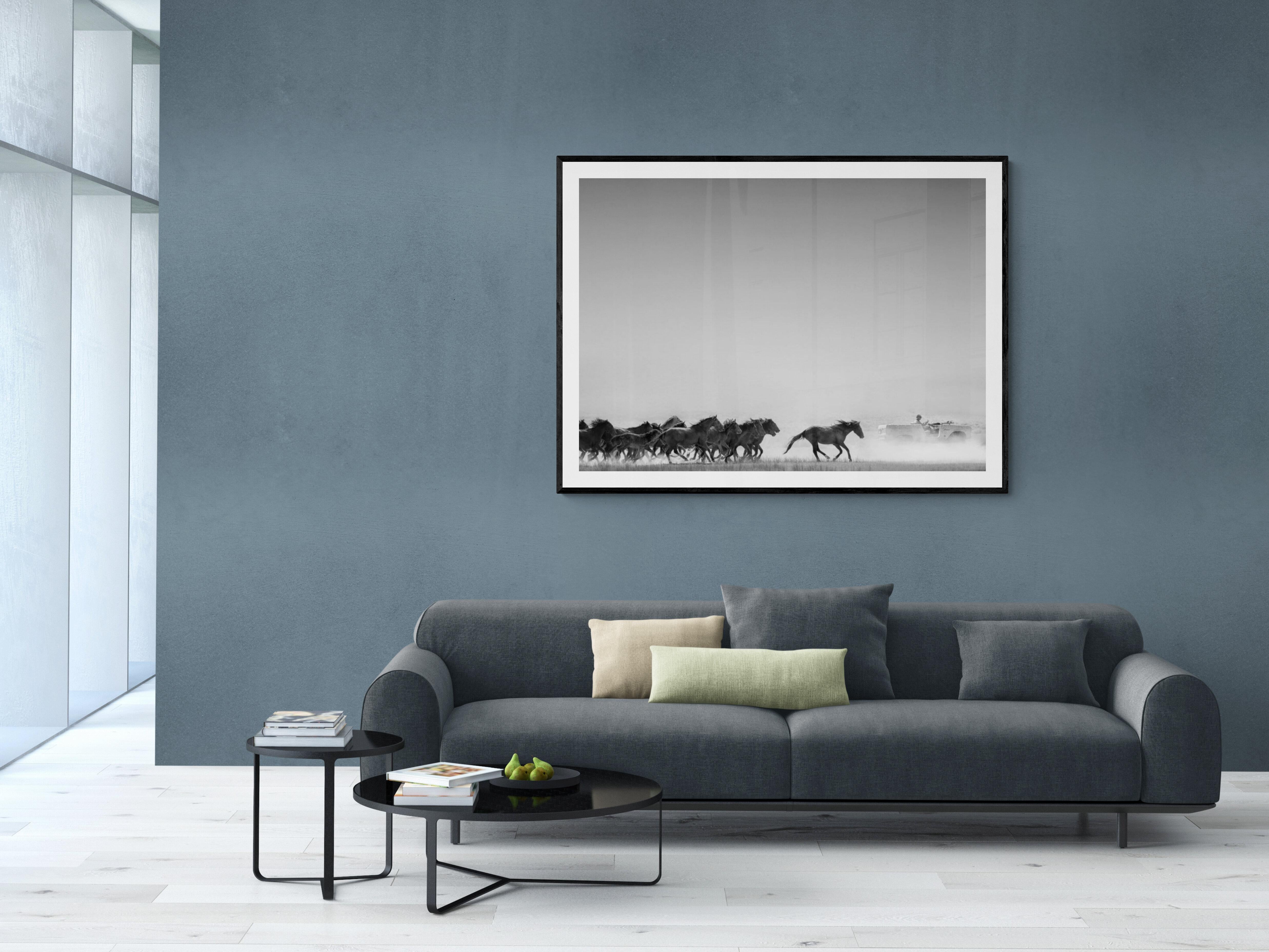 Photographie AMERICAN HORSE POWER 40x60 B&W Chevaux sauvages moutons FORD BRONCO en vente 1