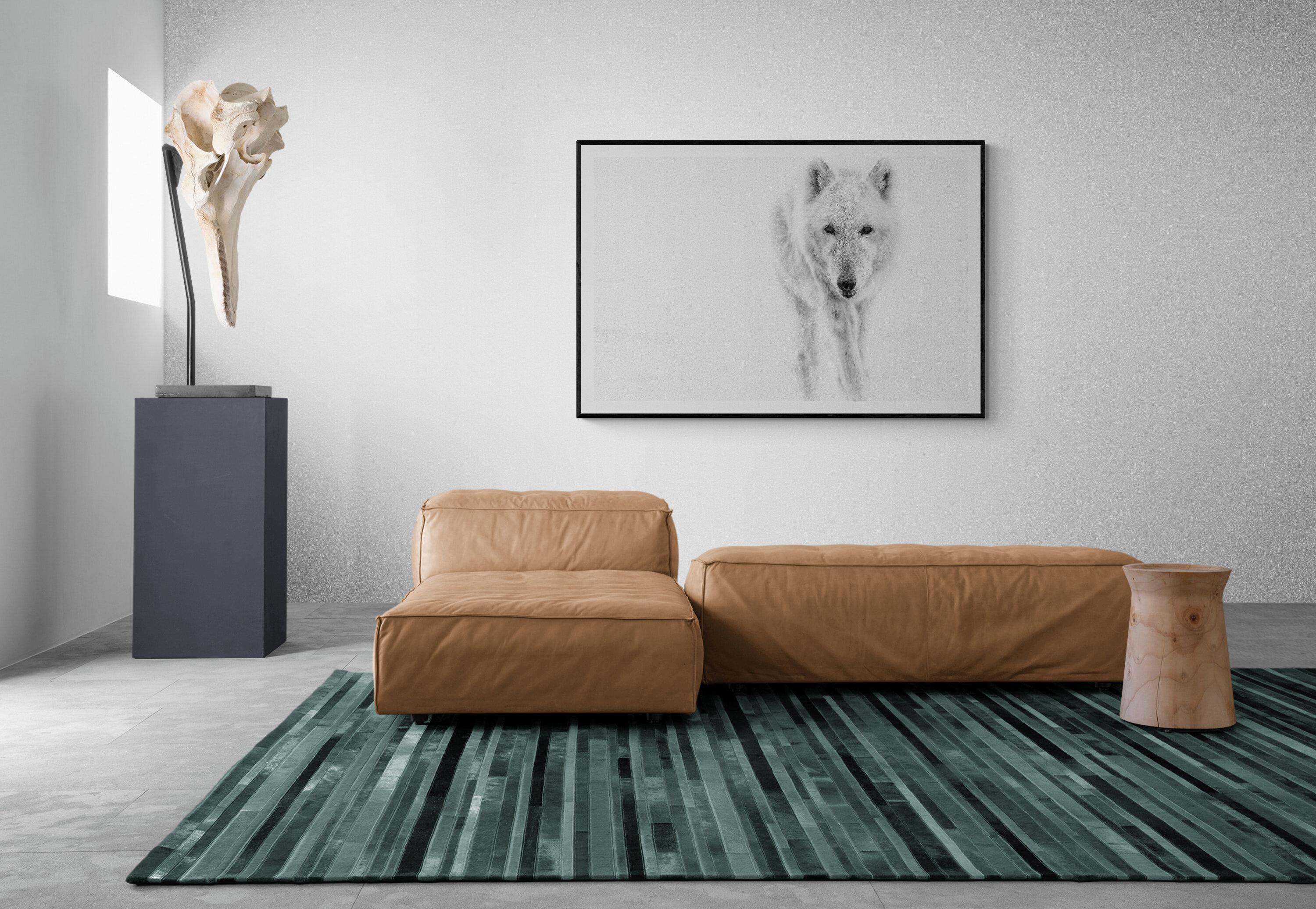 Le loup arctique 40x60  Photographie en noir et blanc, Photographie de loups Tirage non signé - Gris Black and White Photograph par Shane Russeck