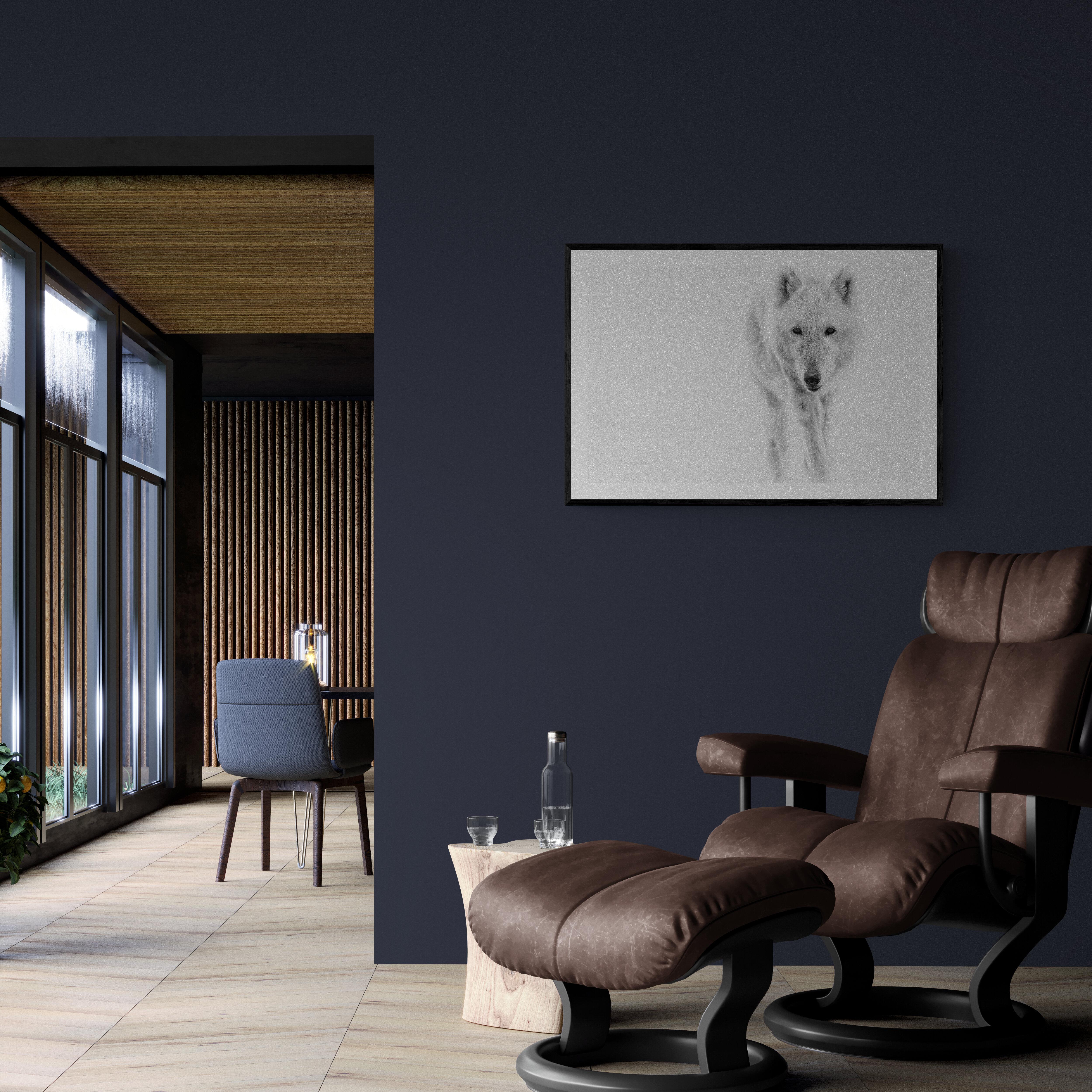 Le loup arctique 40x60  Photographie en noir et blanc, Photographie de loups Tirage non signé en vente 1