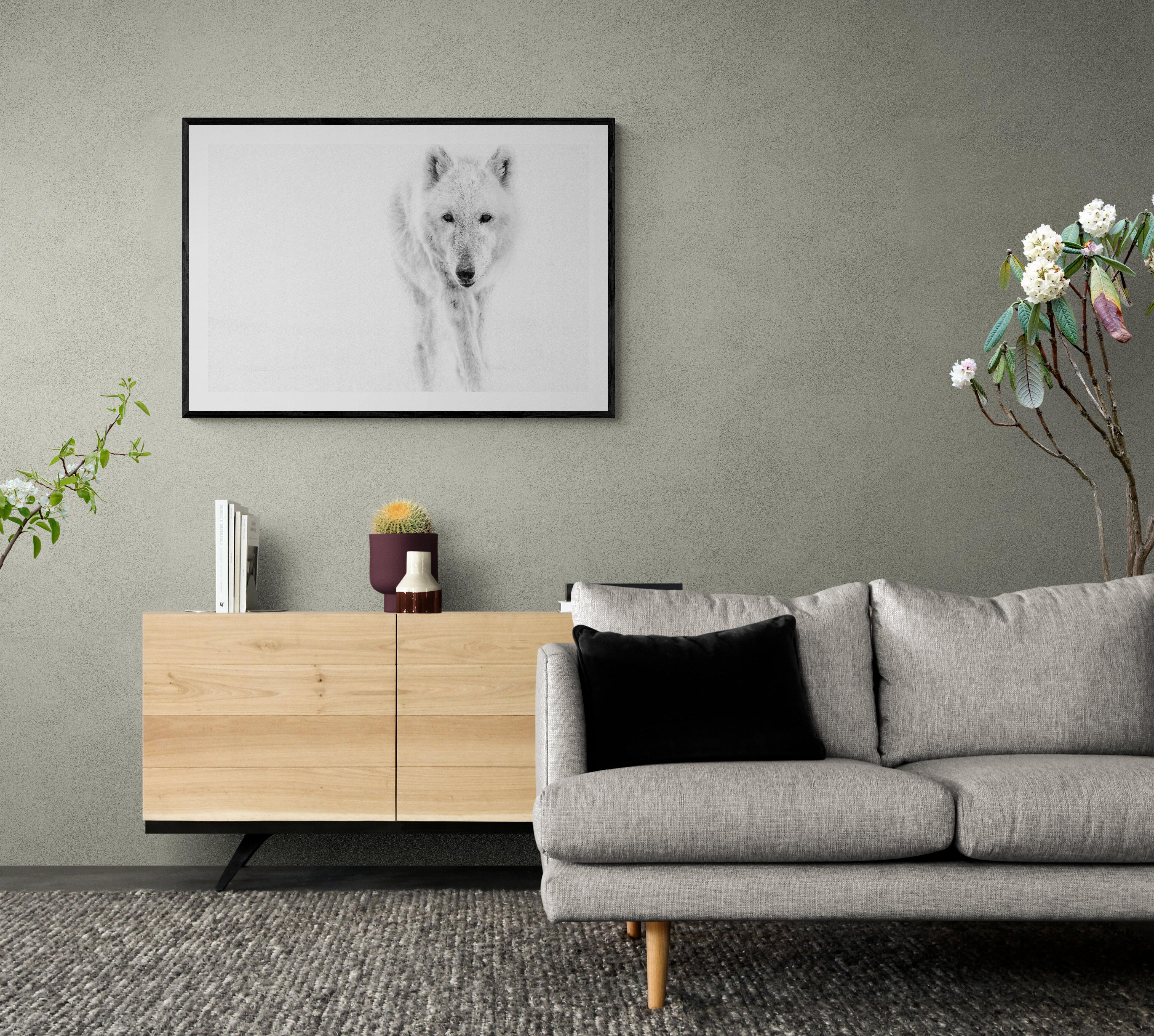 Le loup arctique 40x60  Photographie en noir et blanc, Photographie de loups Tirage non signé en vente 2