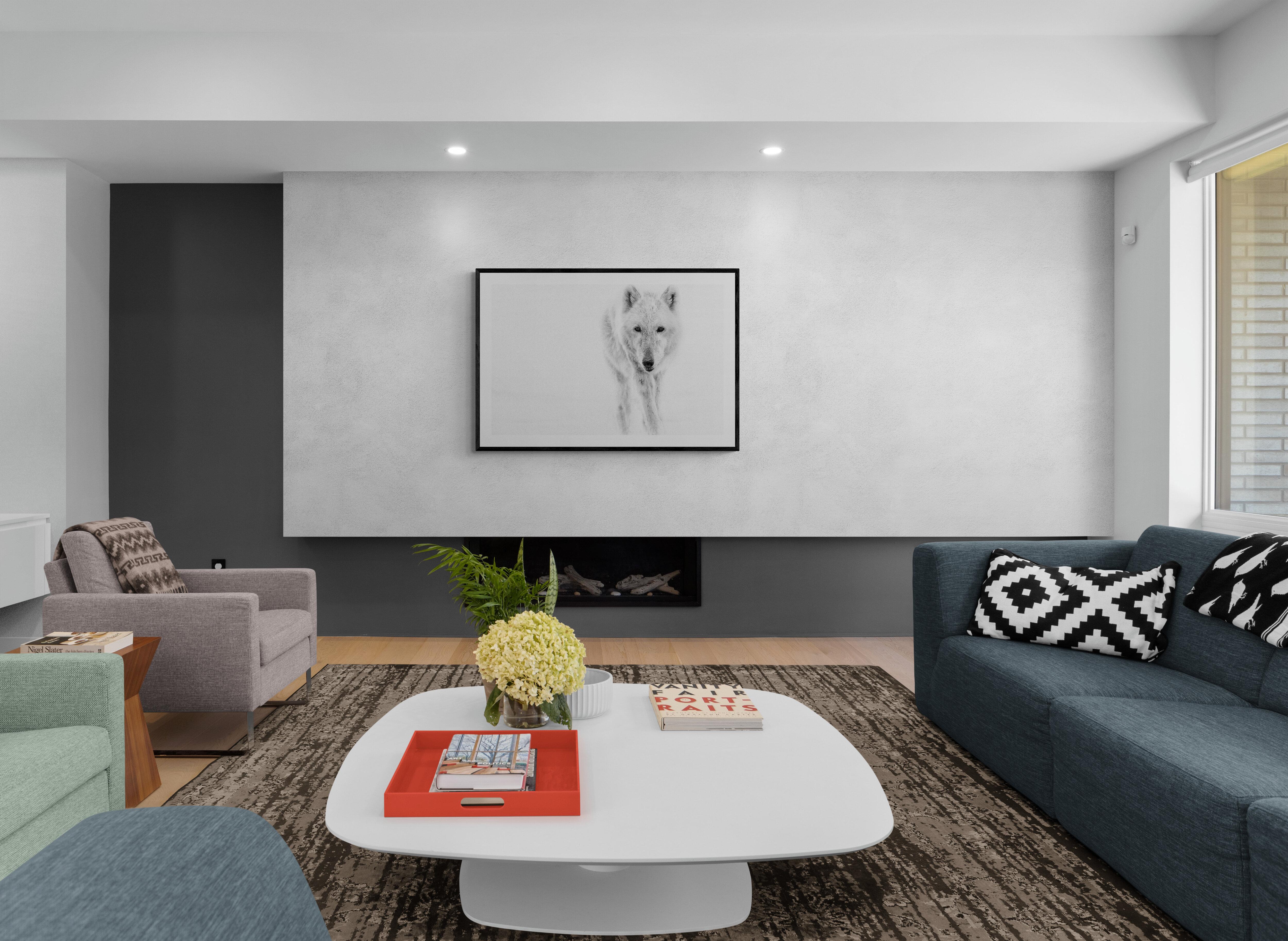 Le loup arctique 40x60  Photographie en noir et blanc, Photographie de loups Tirage non signé en vente 3