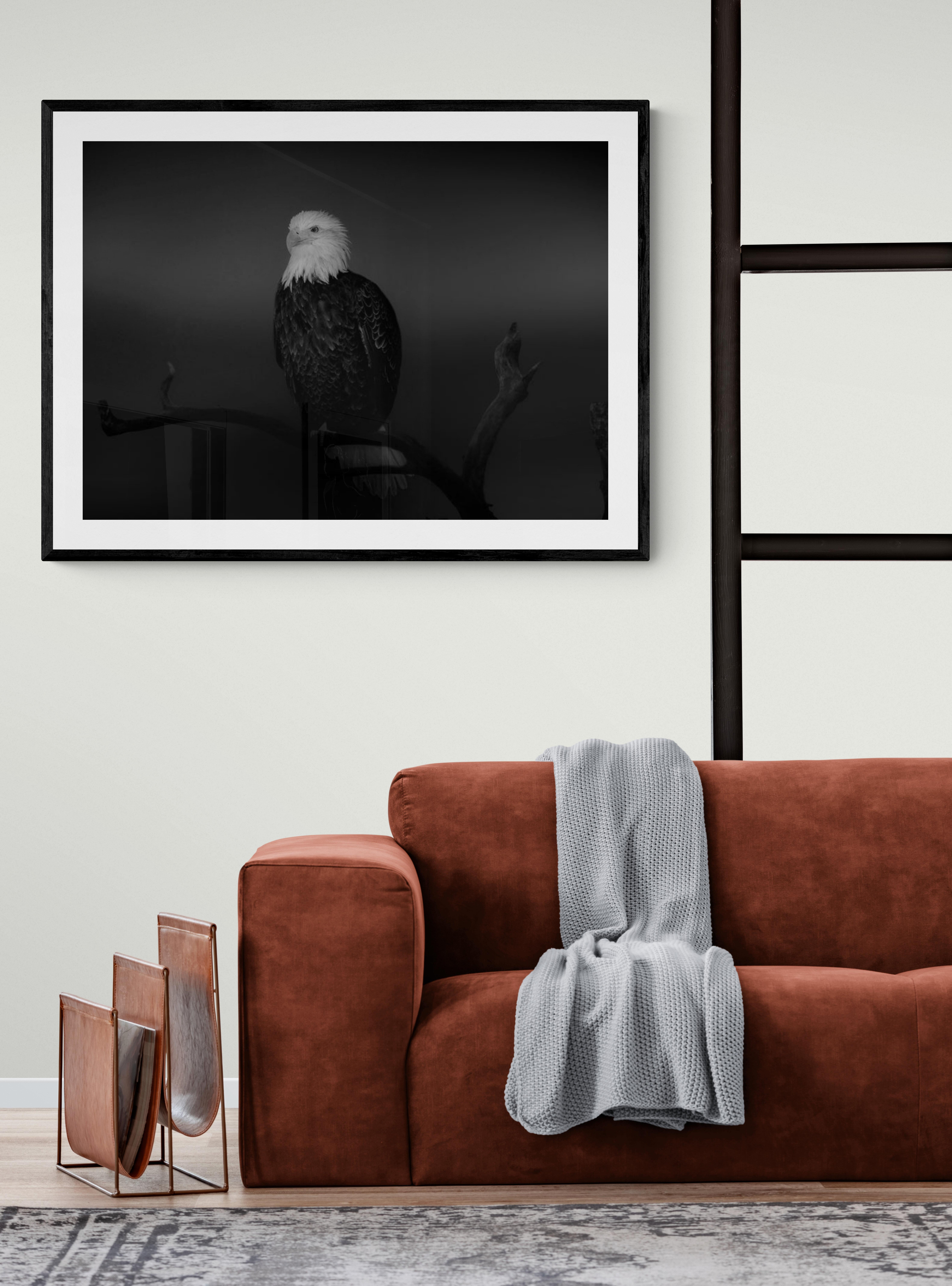„Bald Eagle“ 36x48 - Schwarz-Weiß-Fotografie, Fotokunst – Photograph von Shane Russeck