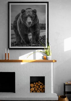 Playa del Oso 36x48 Fotografía en blanco y negro, Fotografía de la vida salvaje del oso pardo
