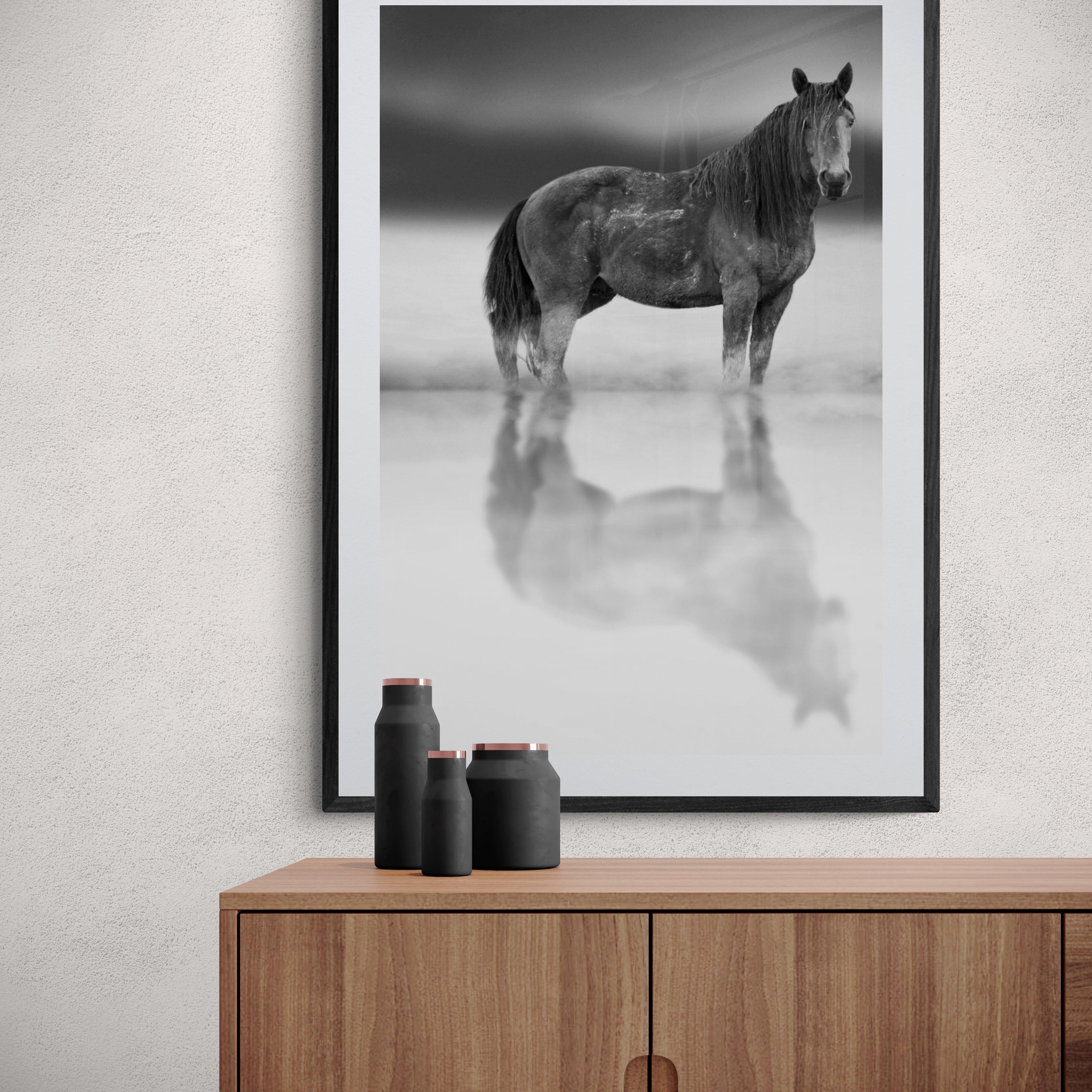 Dies ist eine zeitgenössische Schwarz-Weiß-Fotografie eines American Wild Mustang. 
