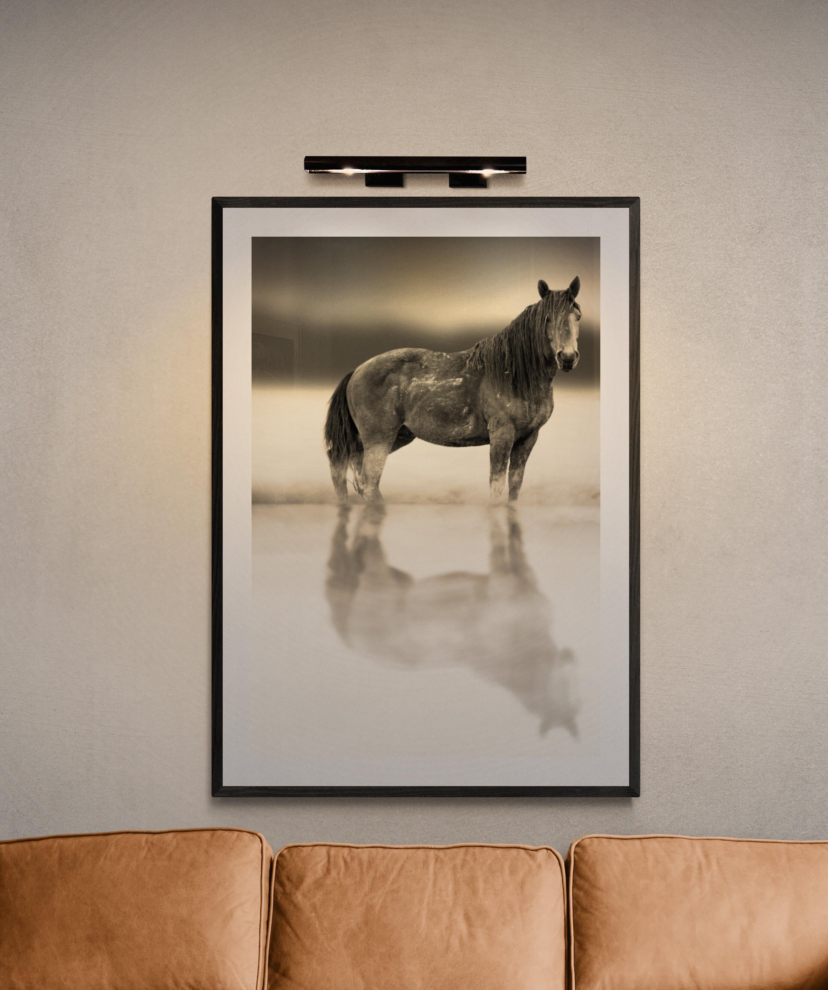 « Belle Starr » 36x48  Photographie en noir et blanc d'un cheval sauvage  Mustang Non signé en vente 3