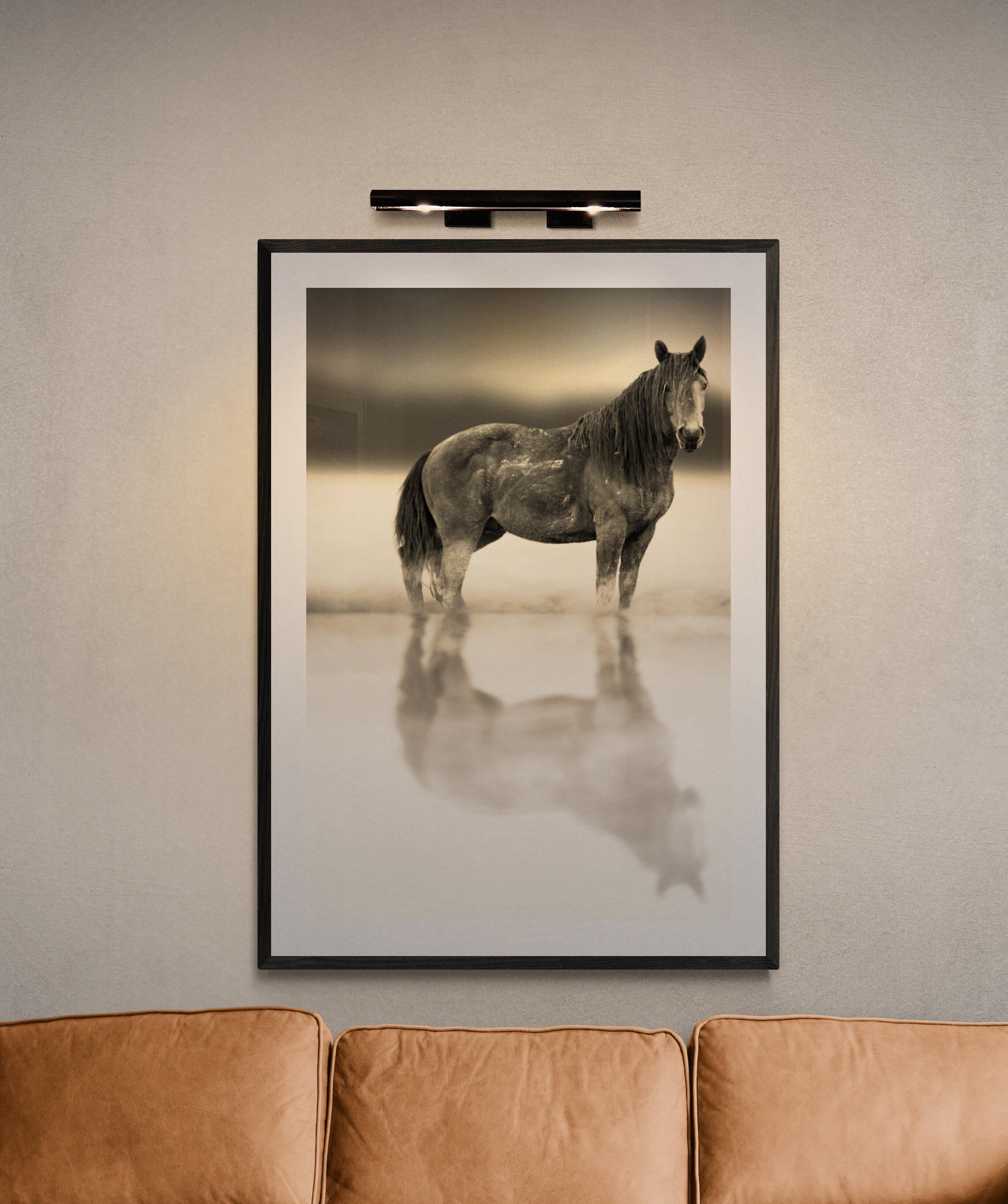 „Belle Starr“ 36x48 –  Schwarz-Weiß-Fotografie von Wildpferd  Mustang Ohne Vorzeichen im Angebot 2