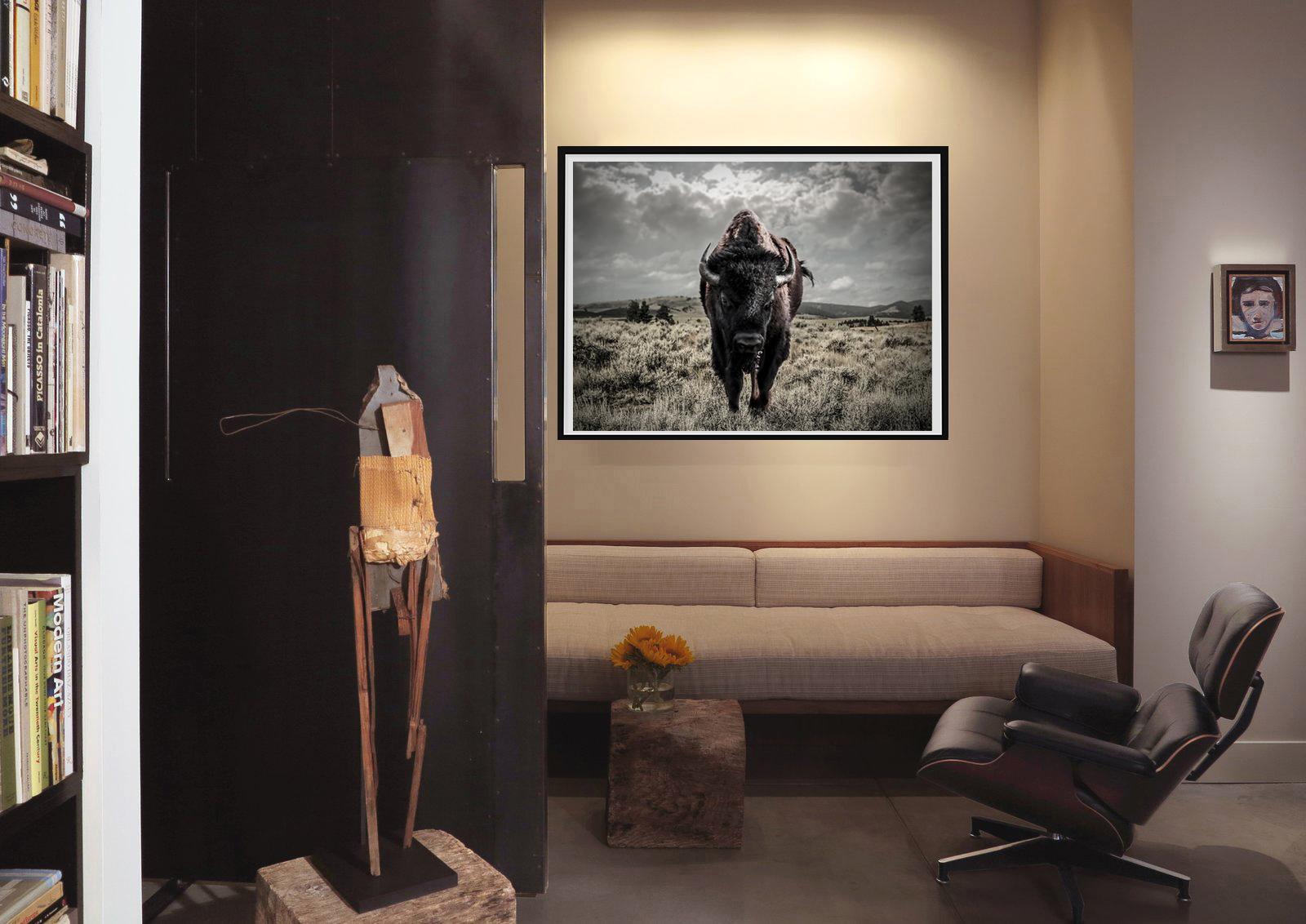 Bison Photography, Fotografía, Color, Bellas Artes 40x60 , Sin firmar - Black and White Photograph Gris de Shane Russeck