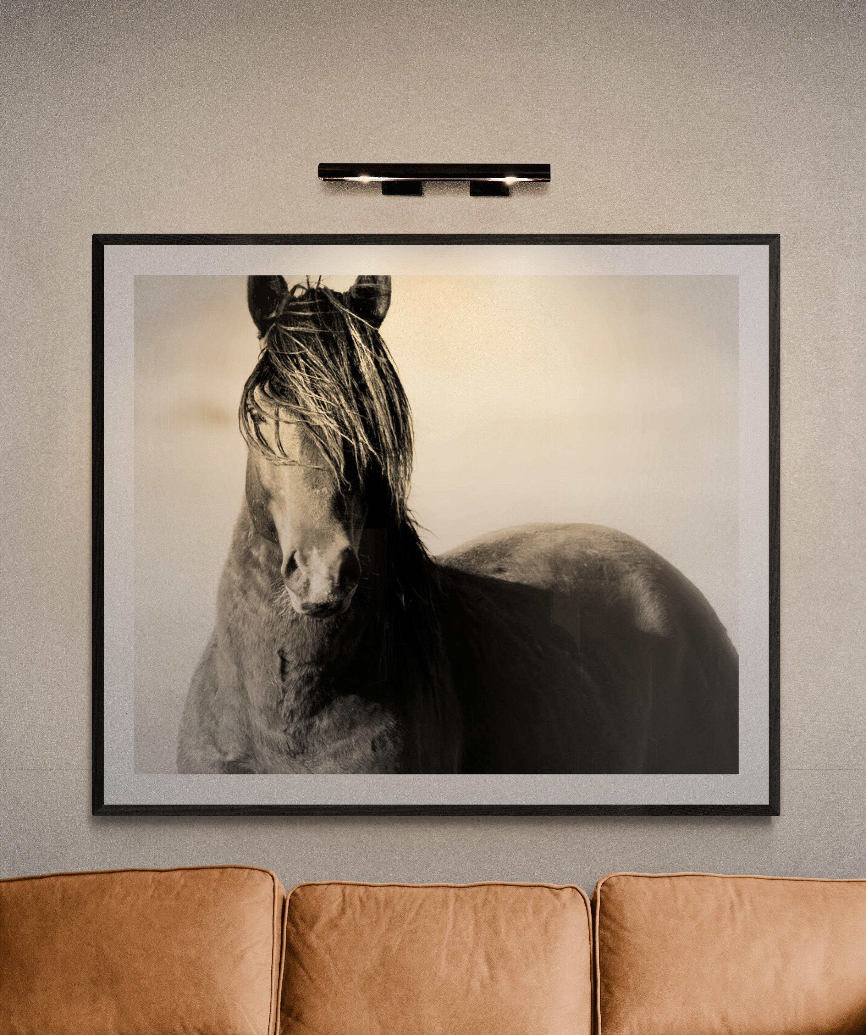 Schwarz-Weiß-Fotografie eines Wildpferdes in Senf „Wild“, 40x60, bildende Kunst 1