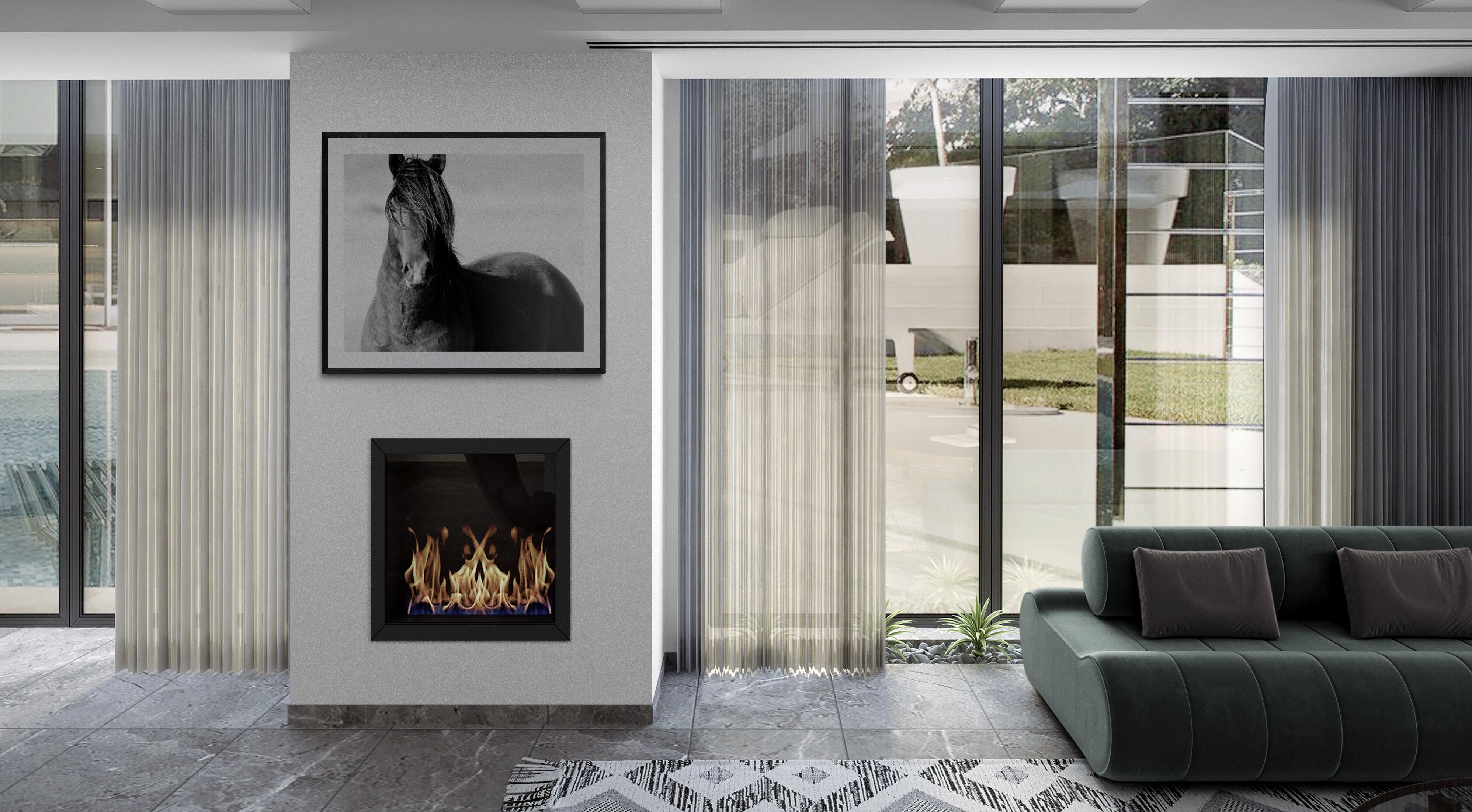 Schwarz-Weiß-Fotografie von Wildpferd Senf „Wild“ 40x60, ungeschliffene Kunst – Print von Shane Russeck