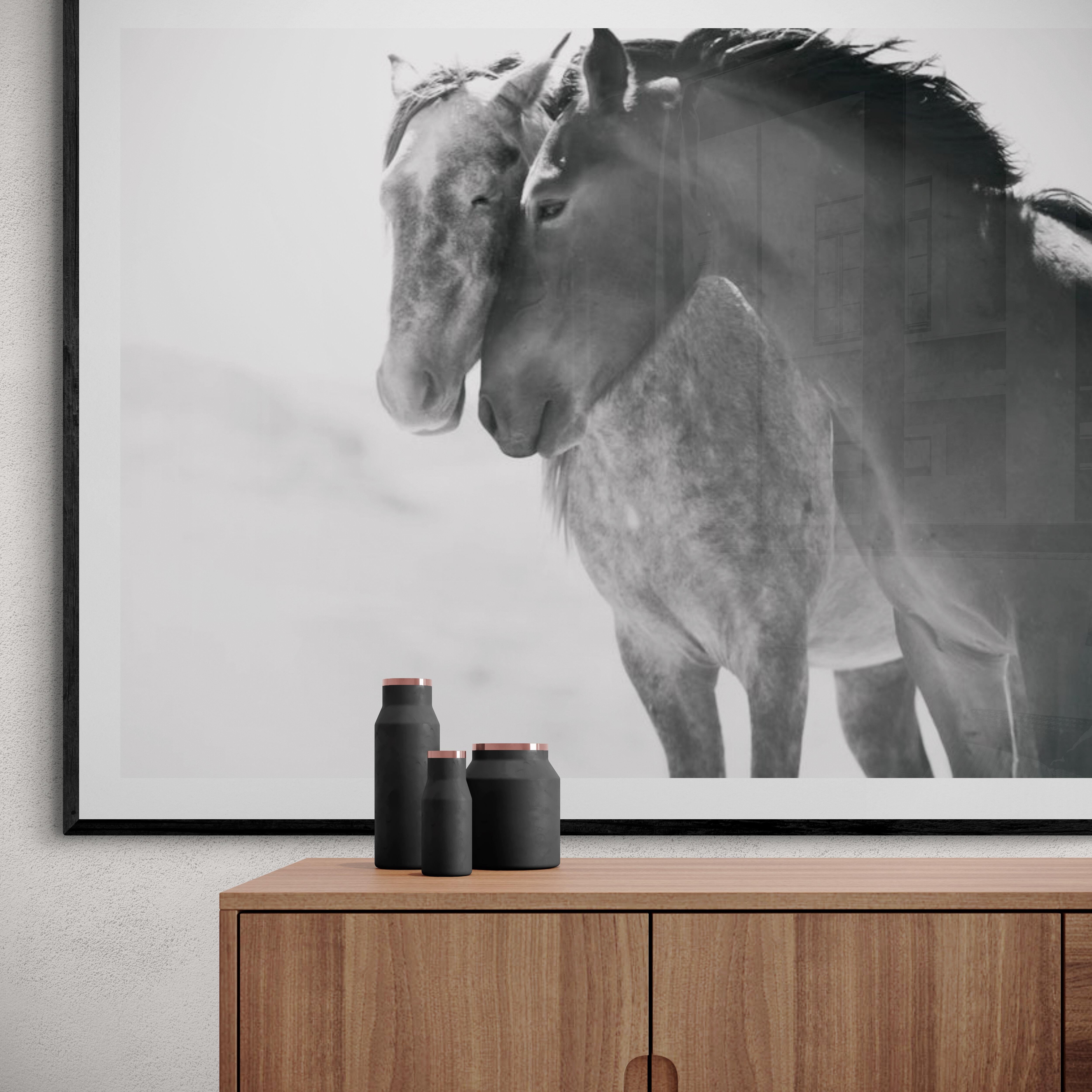 Photographie en noir et blanc  Photographie « Soulmates » en forme de moutons sauvages 30x40 1