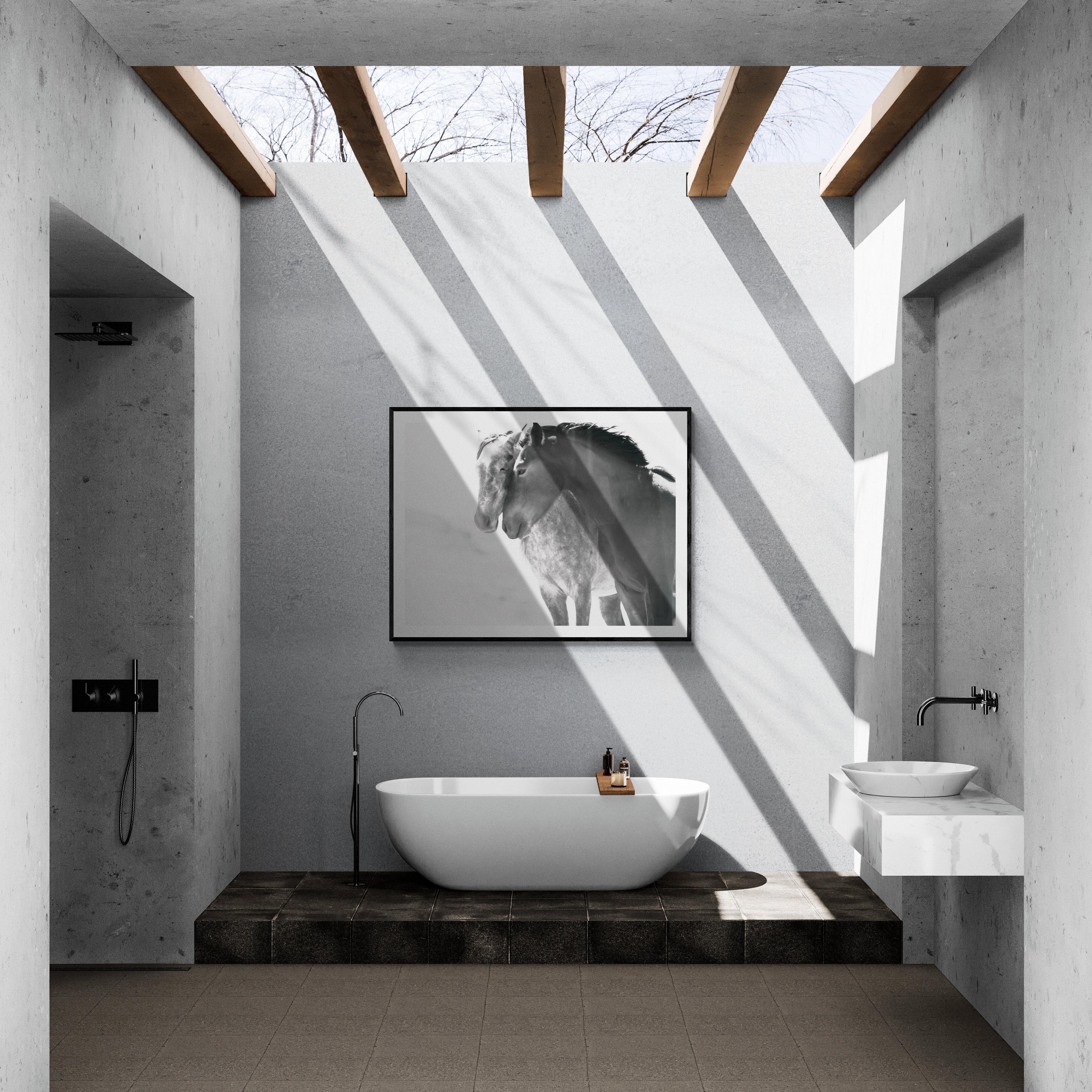 Fotografia in bianco e nero Cavalli selvatici, Mustang 