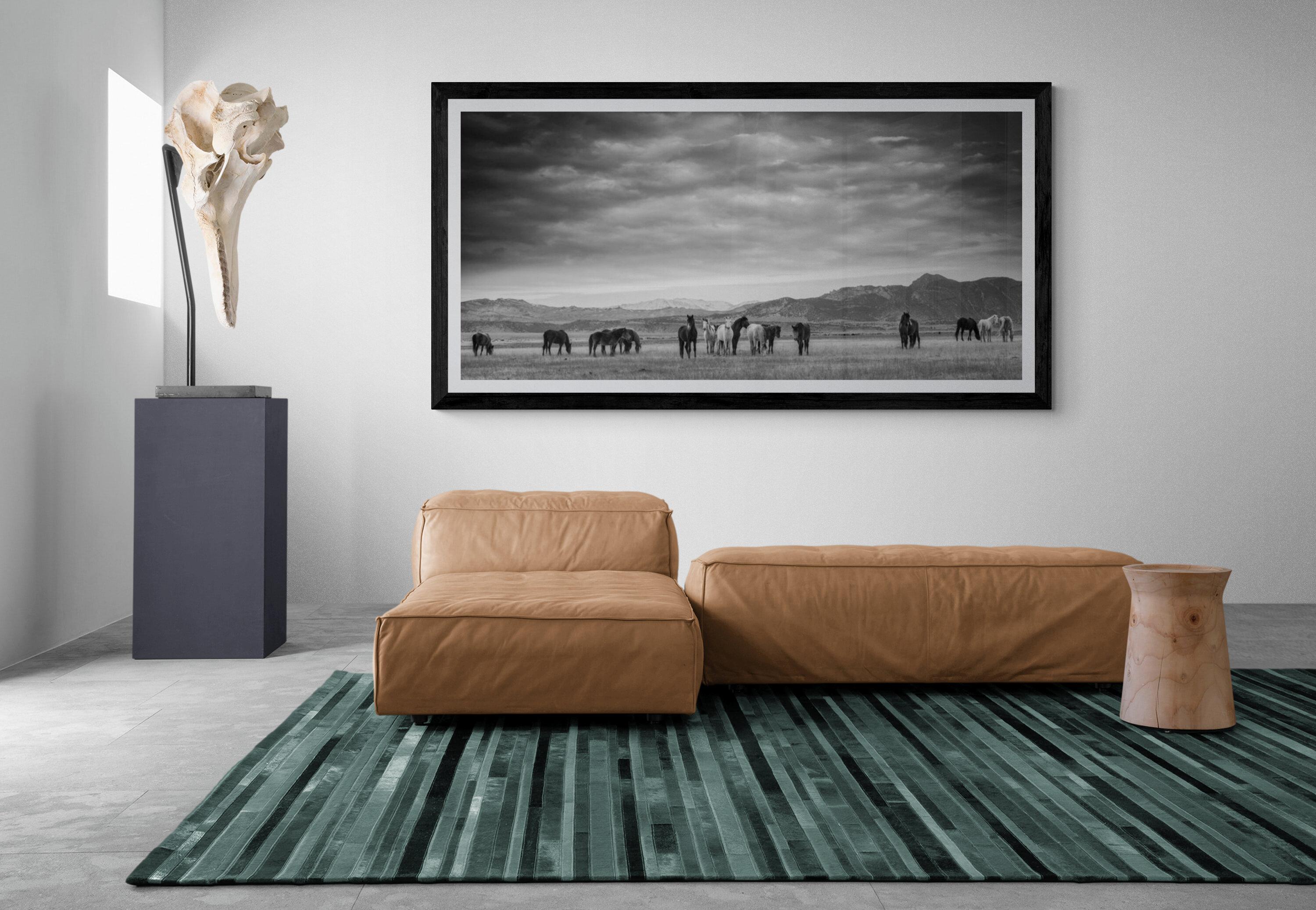 Schwarz-Weiß-Fotografie von Wildpferden, Mustangs „Gangs All Here“, 90x40, signiert – Photograph von Shane Russeck