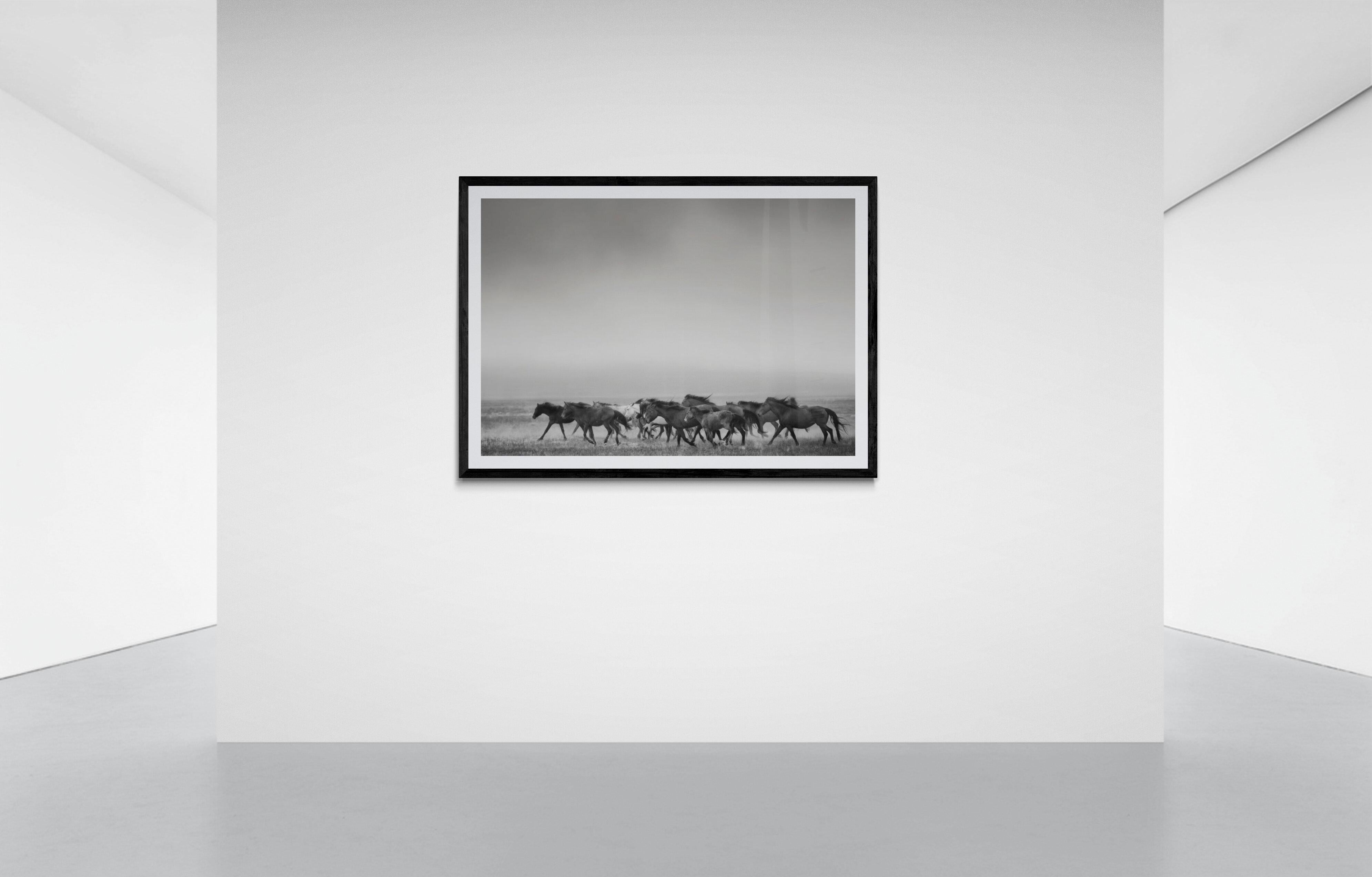 Photographie de cheval sauvage en noir et blanc, Mustangs «angs All Here », 90x40 , signée en vente 2