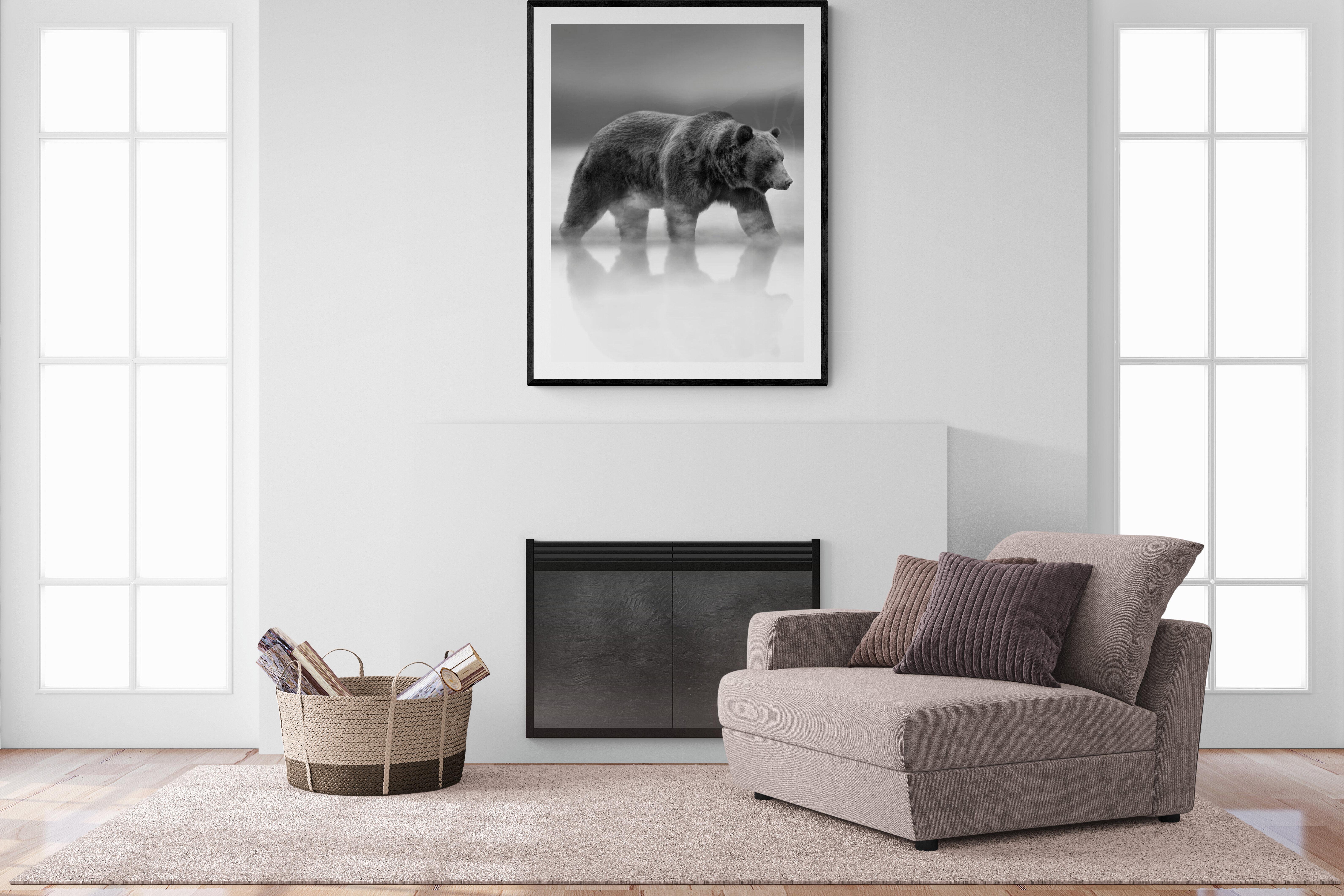 Black & White Photography, Bear Photograph, Kodiak Grizzly Bear Wildlife 60x50 For Sale 1