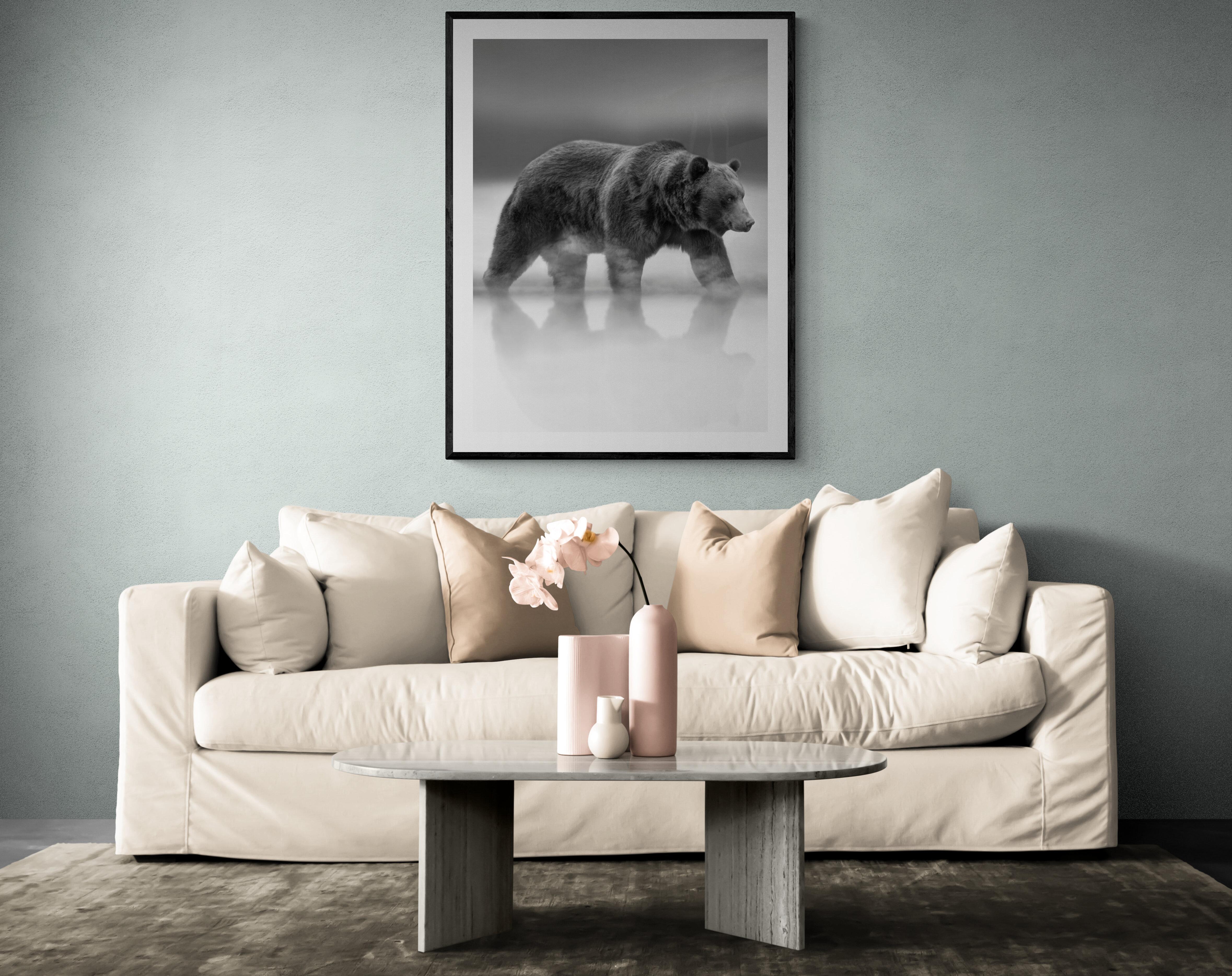 Photographie - Ours en noir et blanc, photographie d'ours Kodiak Grizzly Bear Wildlife 60x50 en vente 3