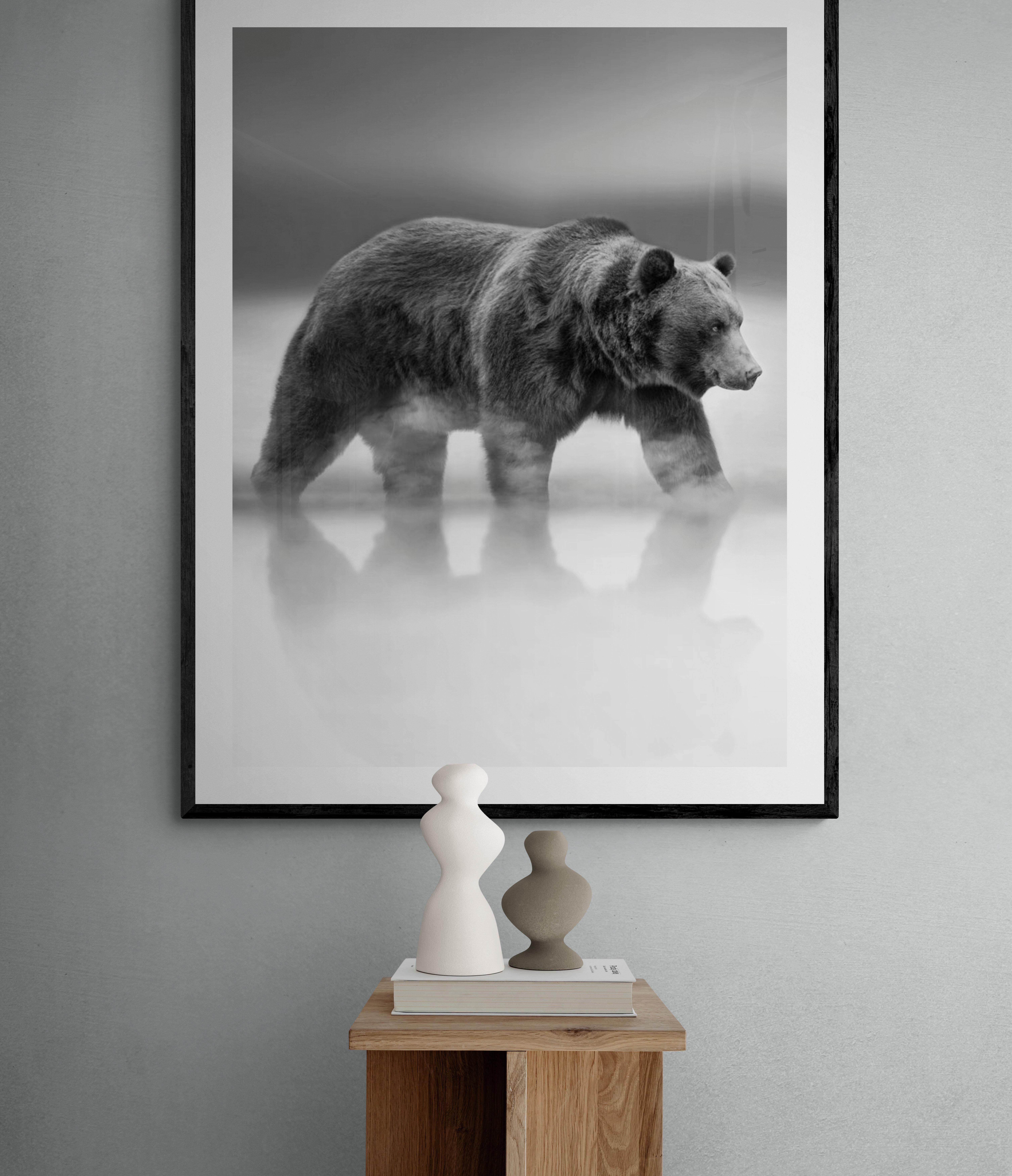 Photographie - Ours en noir et blanc, photographie d'ours Kodiak Grizzly Bear Wildlife 60x50 en vente 4