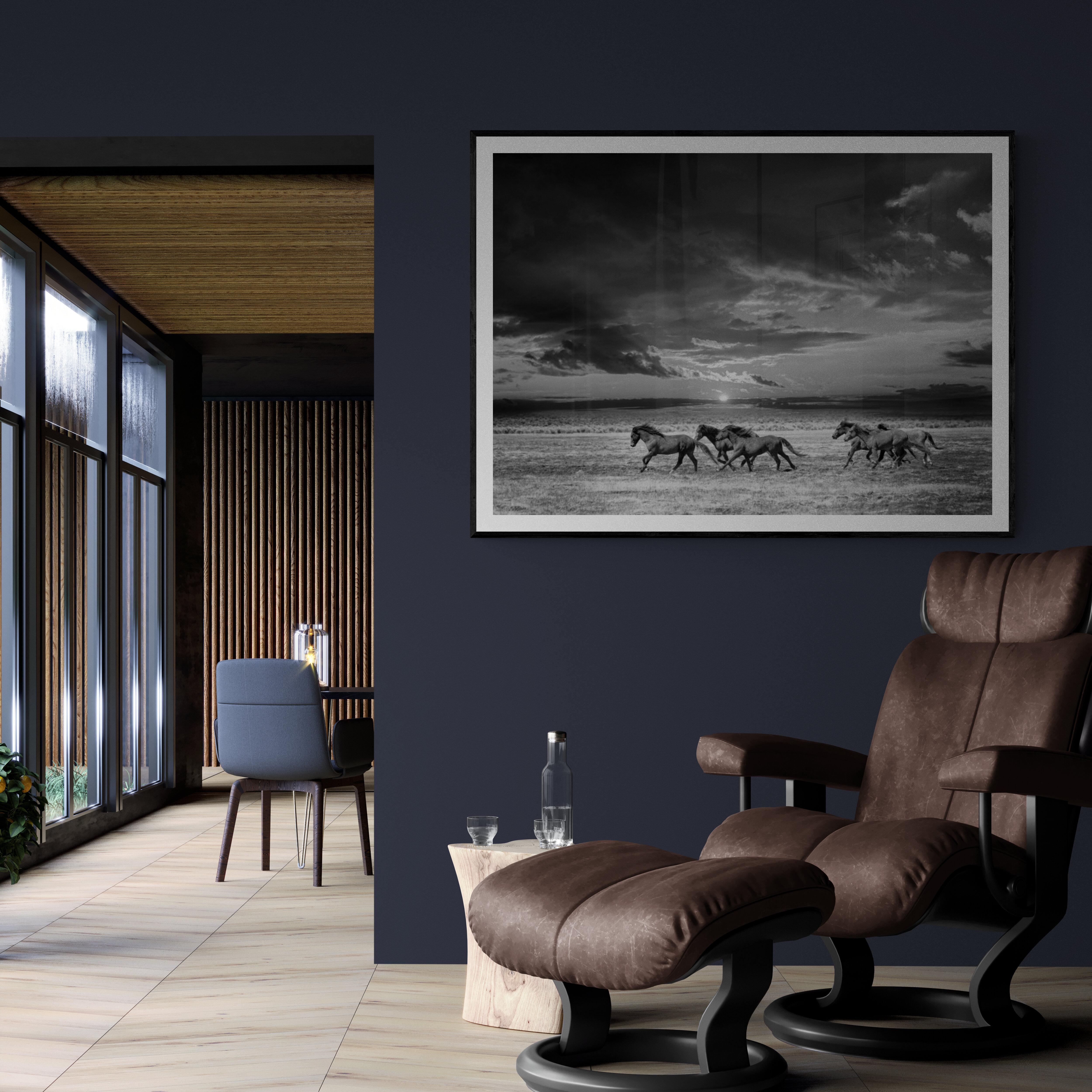 „Chasing the Light“ 36x48 Schwarz-Weiß-Fotografie von Wildpferden, Fotografie 1