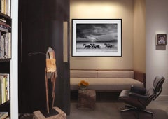 "Persiguiendo la luz" 40x50 Caballos salvajes, Fotografía en blanco y negro Mustangs Arte