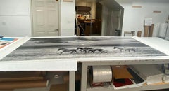 Chasing die Leuchte  48x120 B&W-Fotografie Wildpferde Senffotografie