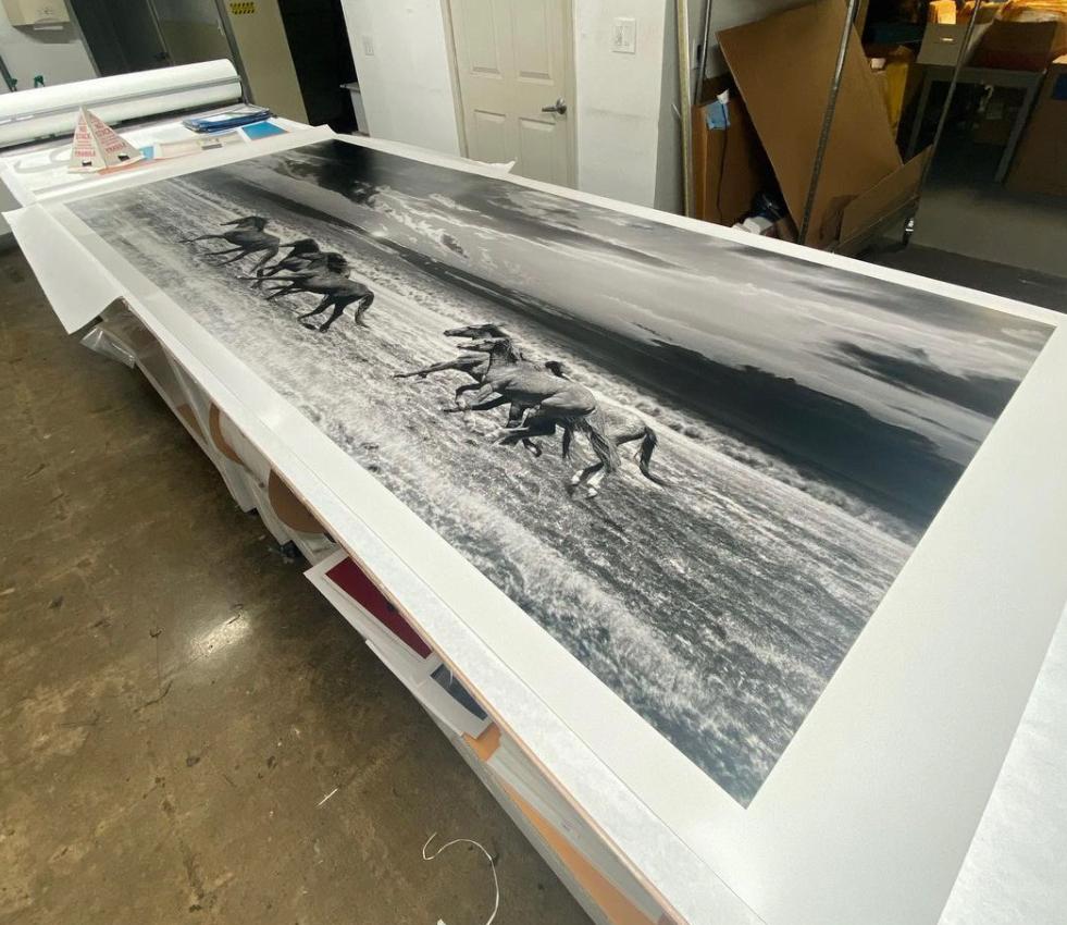 Chasing the Light  48x120 B&W Photography Wild Horses Mustangs Photograph 1