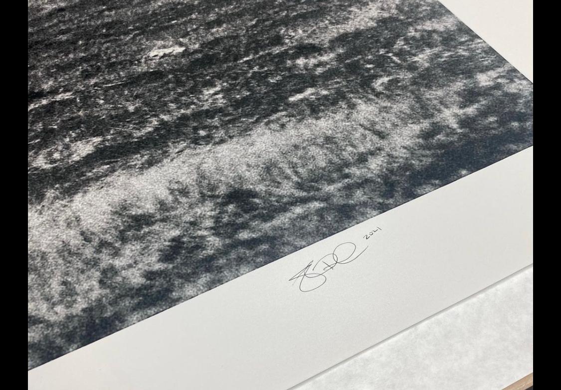 Chasing the Light  48x120 B&W Photography Wild Horses Mustangs Photograph 2