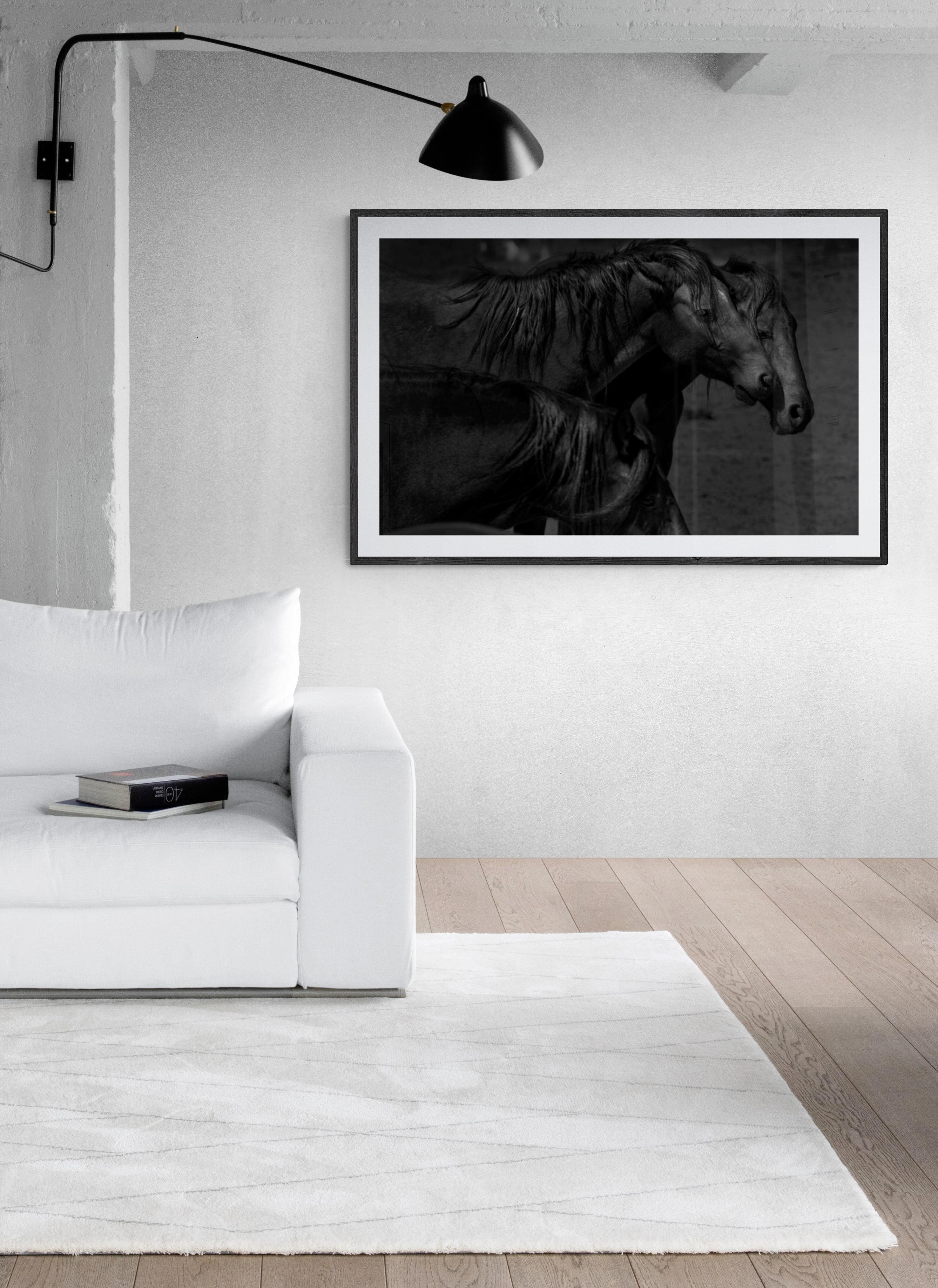 Dunkle Pferde „36x48“ Schwarz-Weiß-Fotografie Wildpferde, Senf, Fotografie  im Angebot 2