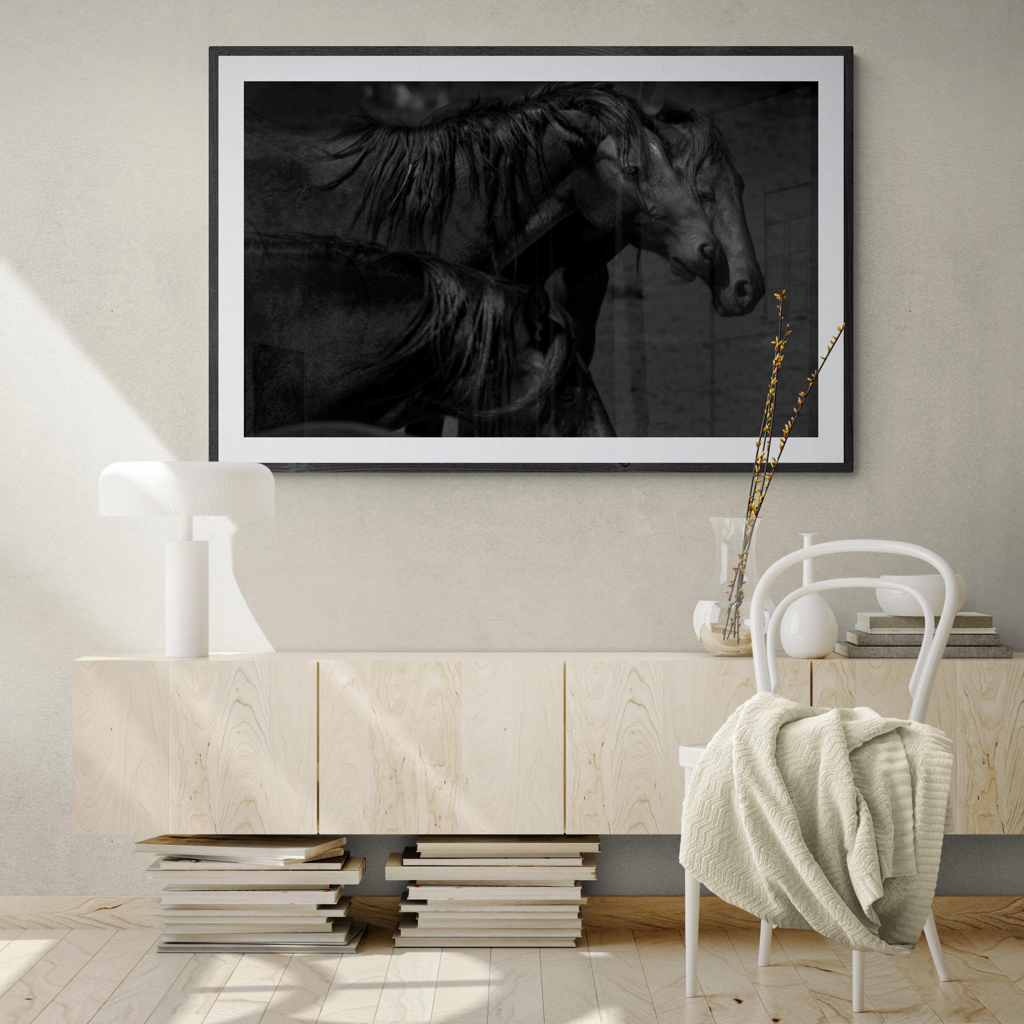 Dunkle Pferde „36x48“ Schwarz-Weiß-Fotografie Wildpferde, Senf, Fotografie  im Angebot 3