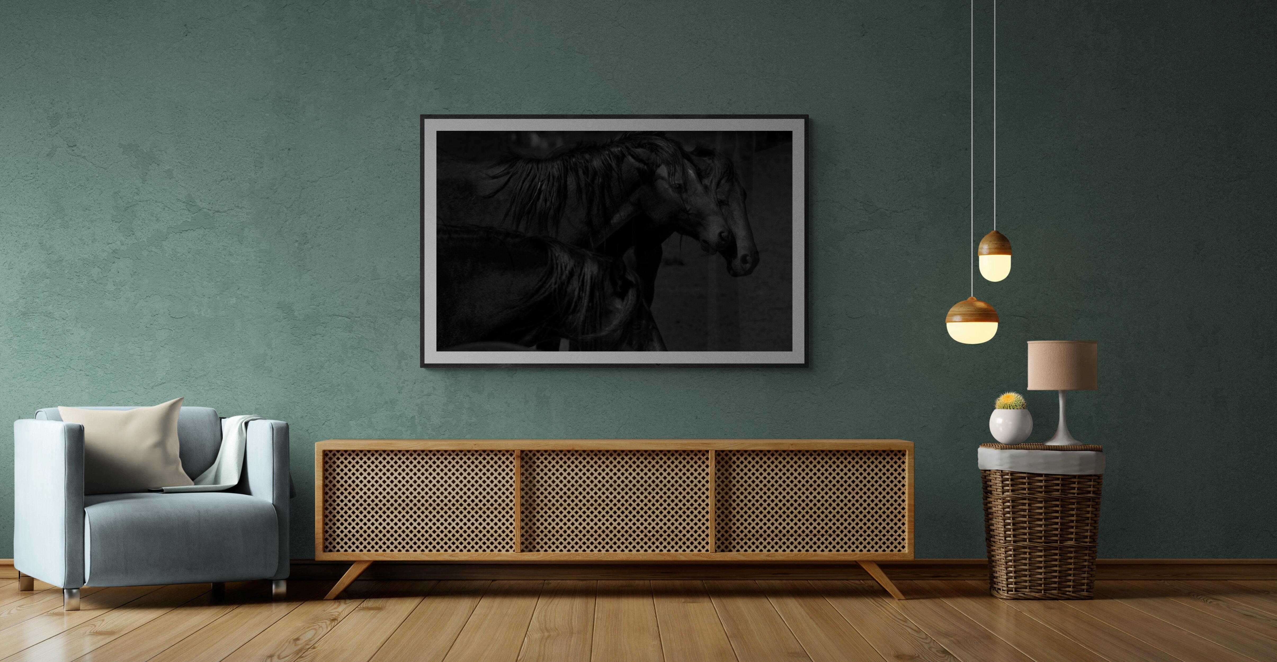 Dunkle Pferde „36x48“ Schwarz-Weiß-Fotografie Wildpferde, Senf, Fotografie  im Angebot 4