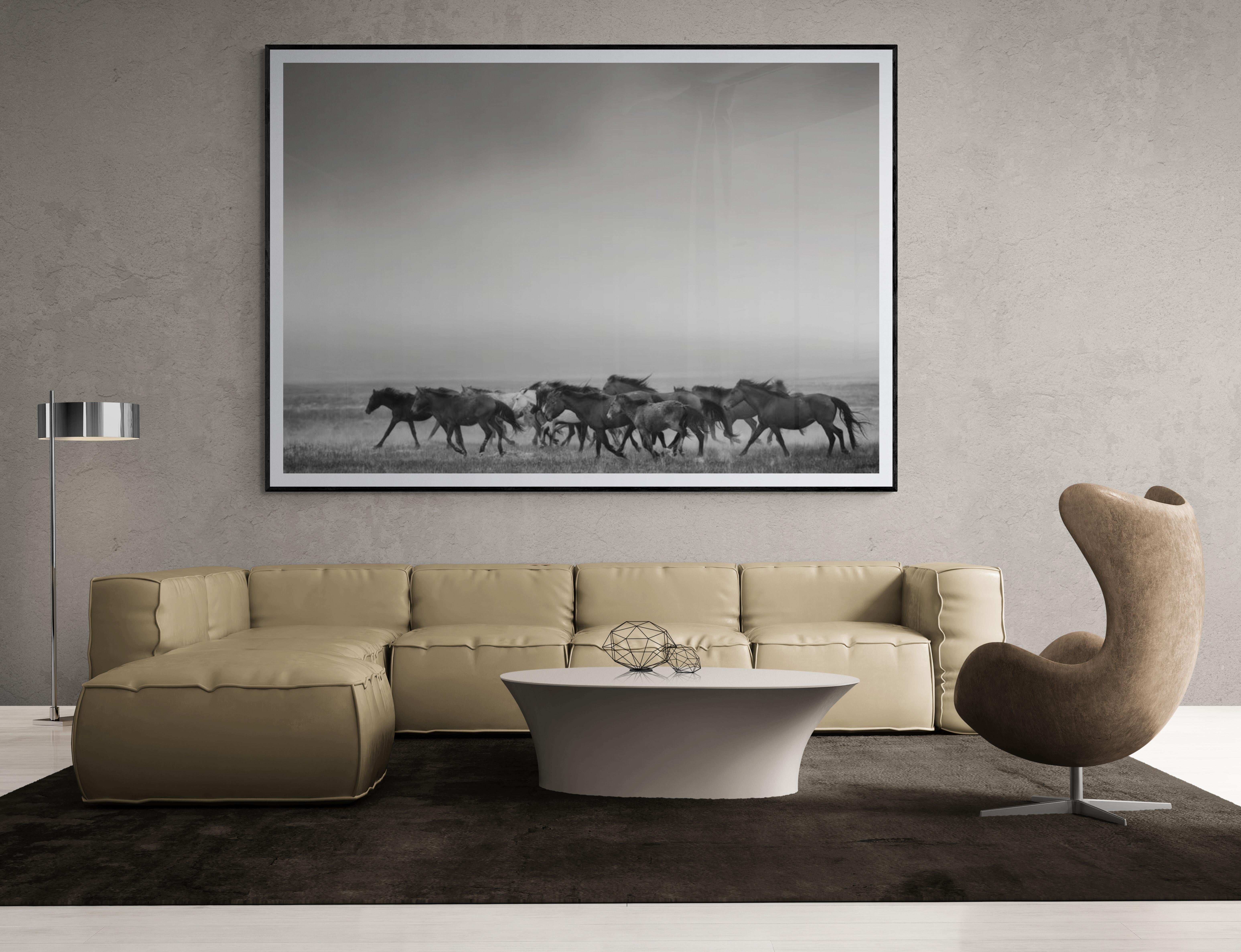 Dies ist ein Schwarz-Weiß-Foto der American Wild Mustangs von Shane Russeck. 
Gedruckt auf Archivpapier mit Archivtinte

 Shane Russeck hat sich den Ruf erworben, Amerikas Landschaften, Kulturen und gefährdete Tiere einzufangen. Der 1977 in