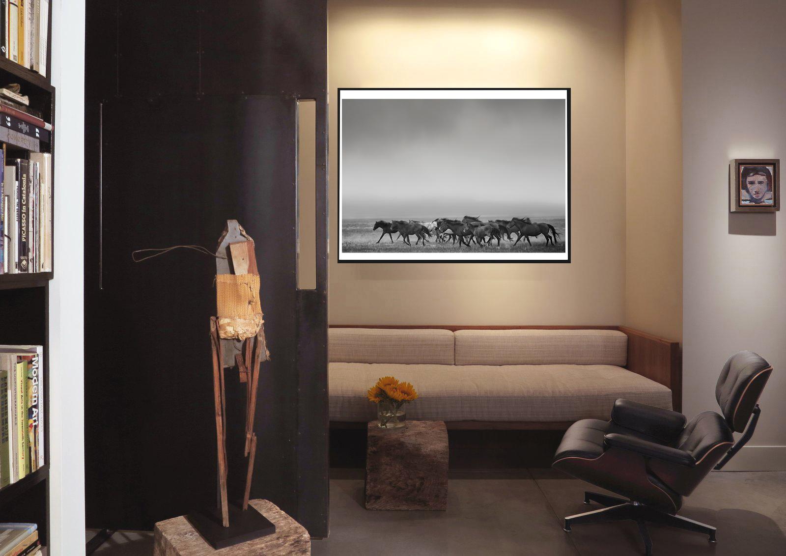 „Dream State“ – 50x90 Schwarz-Weiß-Fotografie mit Wildpferden, Senf, unsigniert – Photograph von Shane Russeck