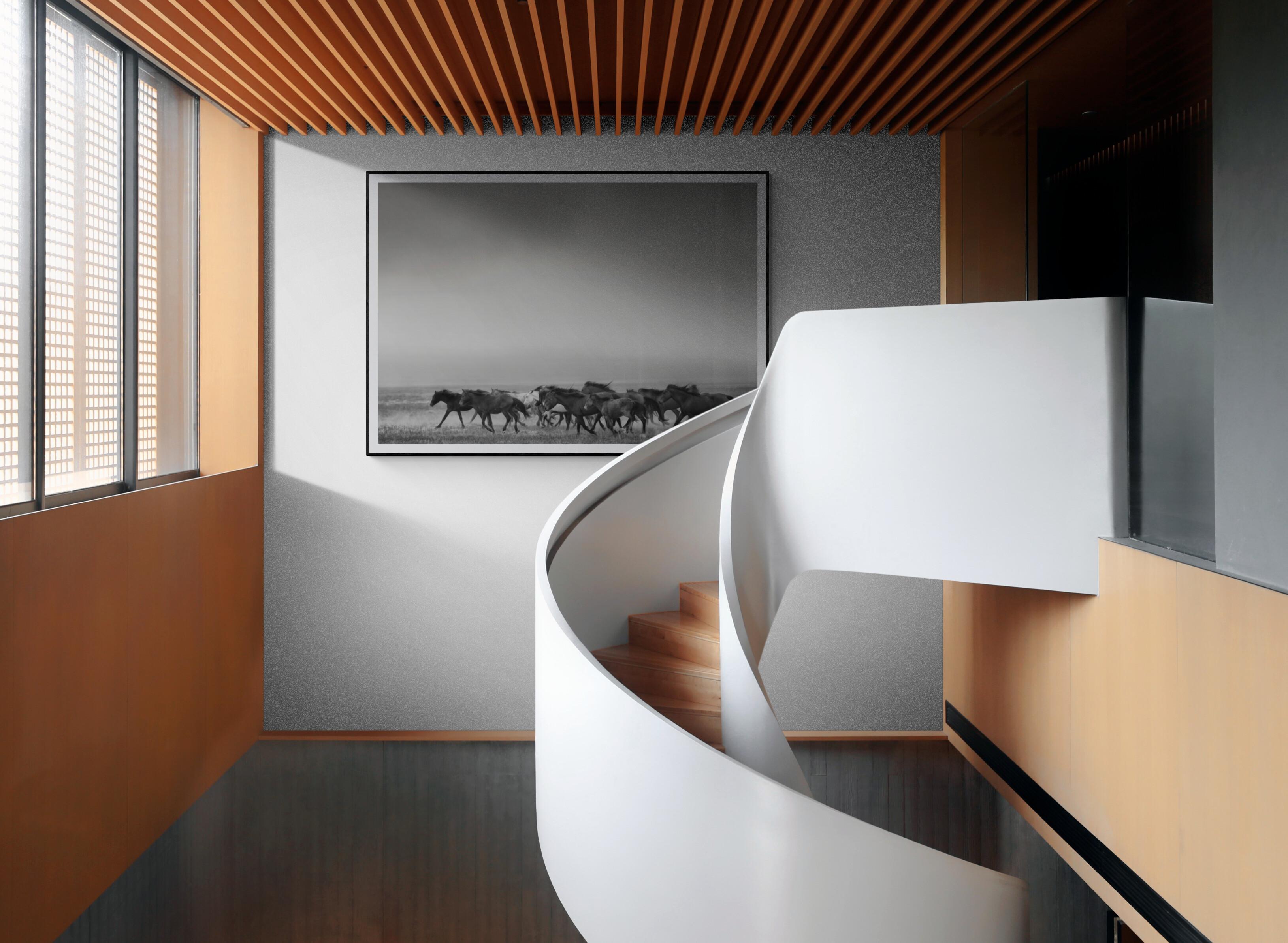 „Dream State“ – 50x90 Schwarz-Weiß-Fotografie mit Wildpferden, Senf, unsigniert 1