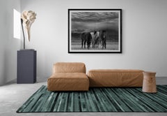 "Dust and Horses" 30x40 Black and White Photography Wild Horses Mustangs Photo