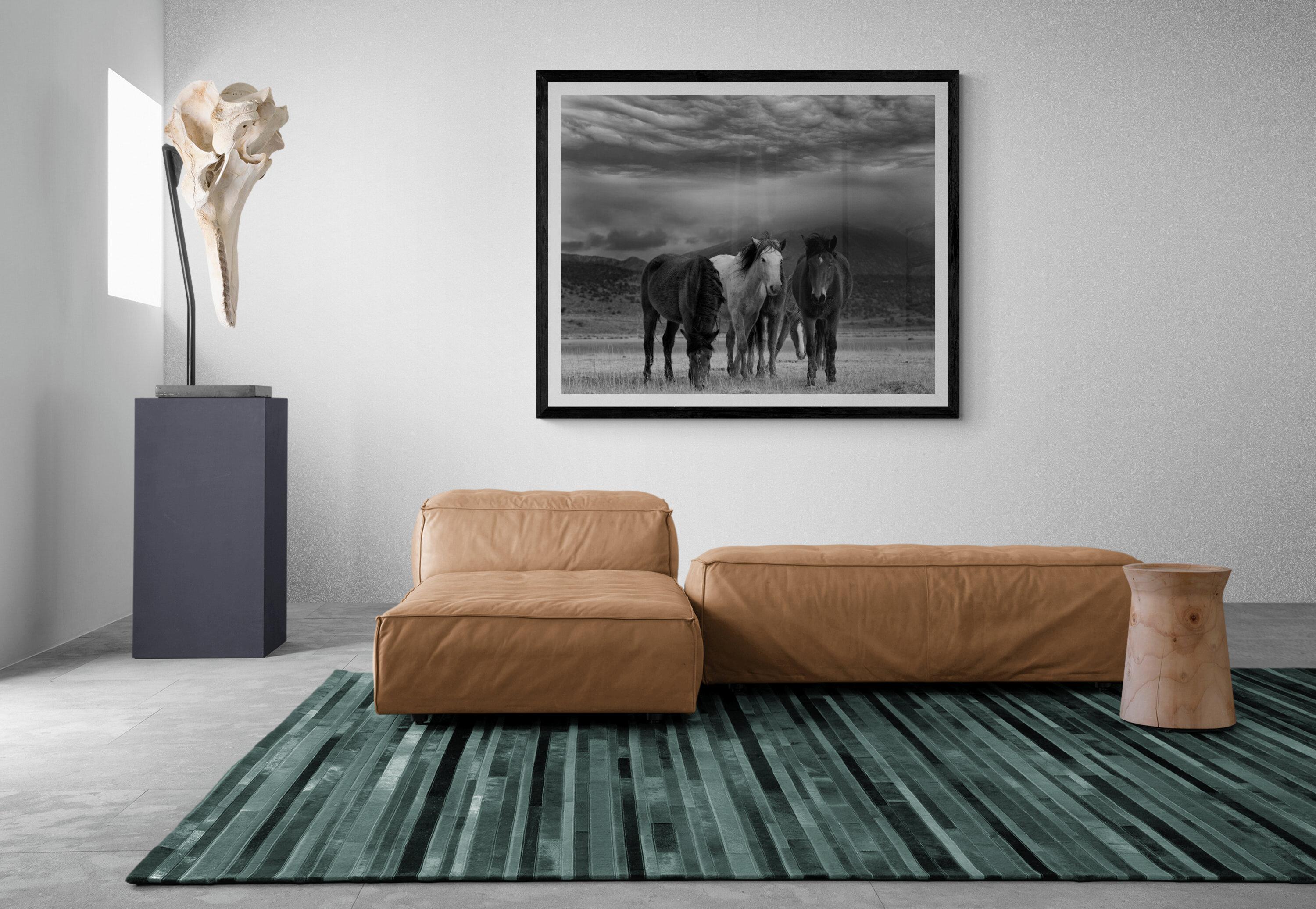 « Duvet et chevaux », photographie en noir et blanc 45x60, Art des chevaux sauvages moutardes en vente 1
