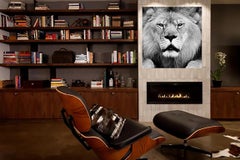 "Face Off" "30x40" - Black & White Photography, Lion Photograph African Art