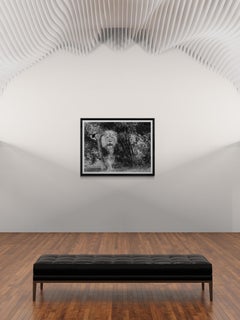 "From the Brush" 40x60 Black and White Lion Photography Photograph