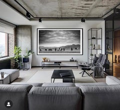 "Gangs All Here" - 40x25 Wild Horses Photography Photograph Mustangs Unsigned