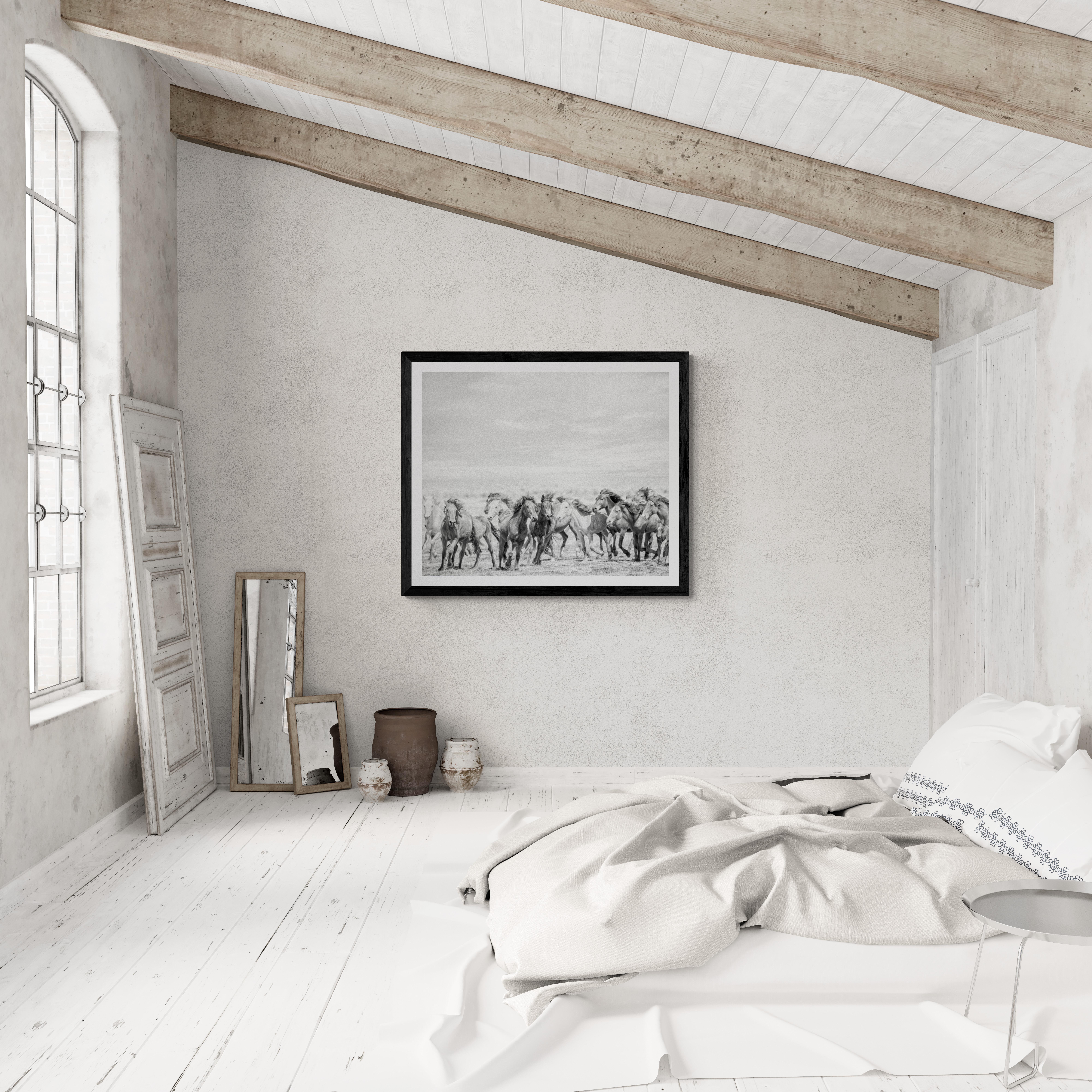 This is a contemporary black and white photograph of wild horses. 
