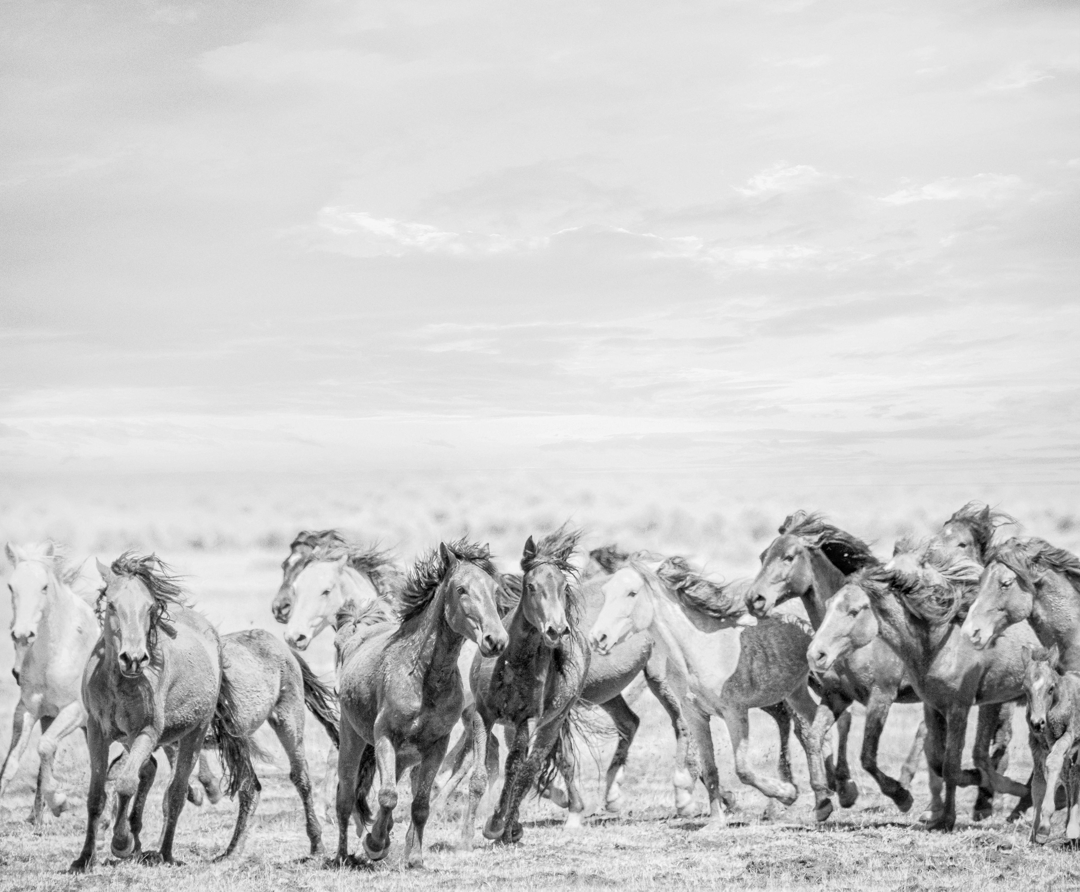 This is a contemporary black and white photograph of wild horses. 
"They represent the ultimate expression of American freedom"
36x48 Edition of 12 
Printed on  Photo Rag using archival ink 


 Shane Russeck has built a reputation for capturing